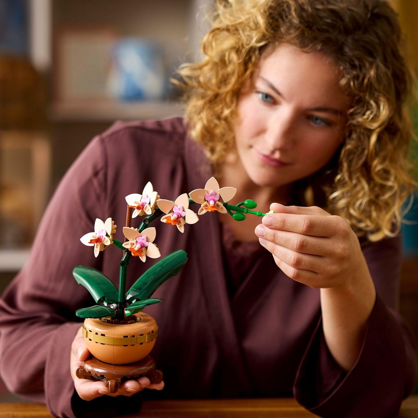 Botanicals Mini Orchid - Artificial Flowers Set for Adults - Indoor Plant with Terracotta Style Flowerpot - Home Decor - Gift for Valentine'S Day for Women and Men - 10343