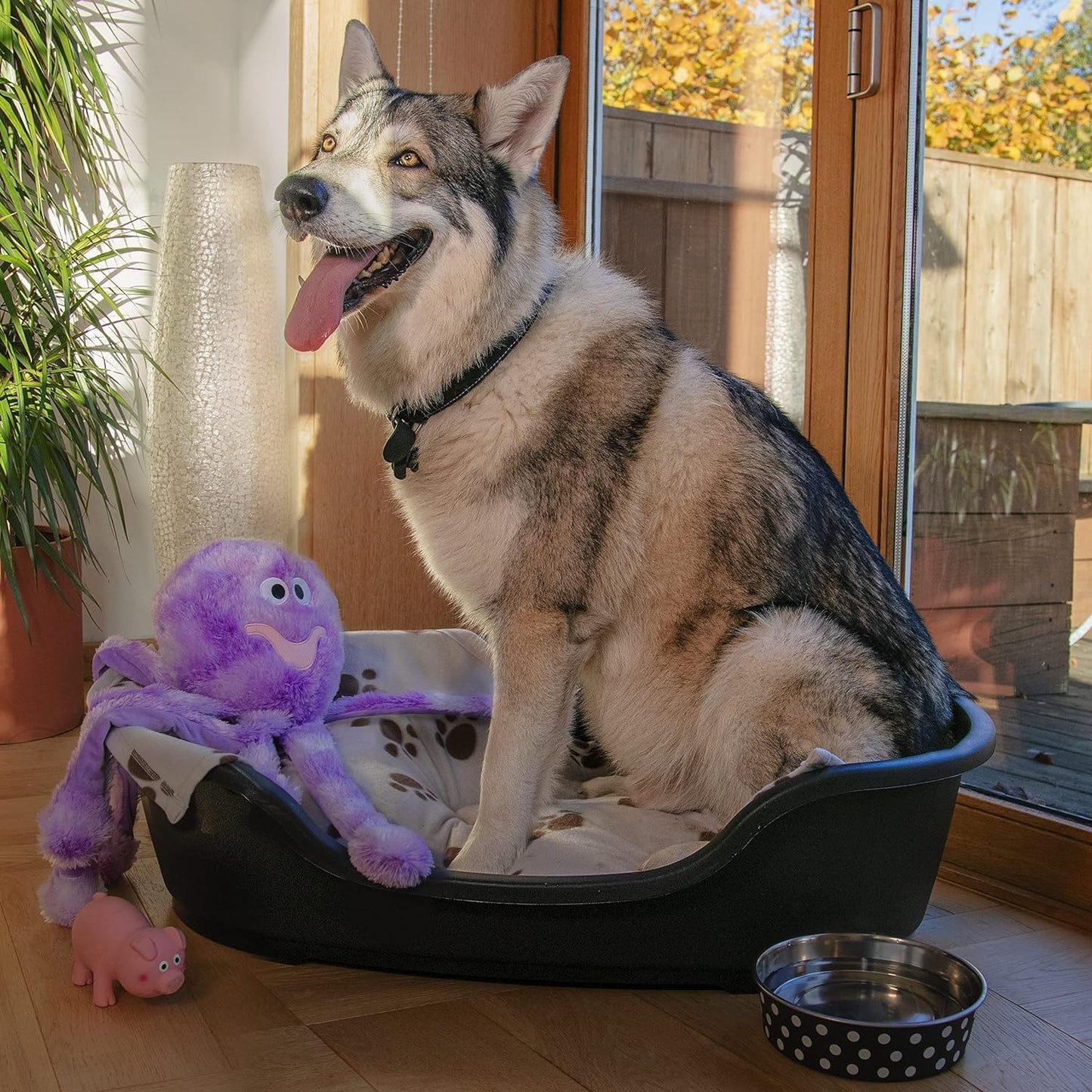 Plastic Dog Bed, Black, Small (60 Cm)