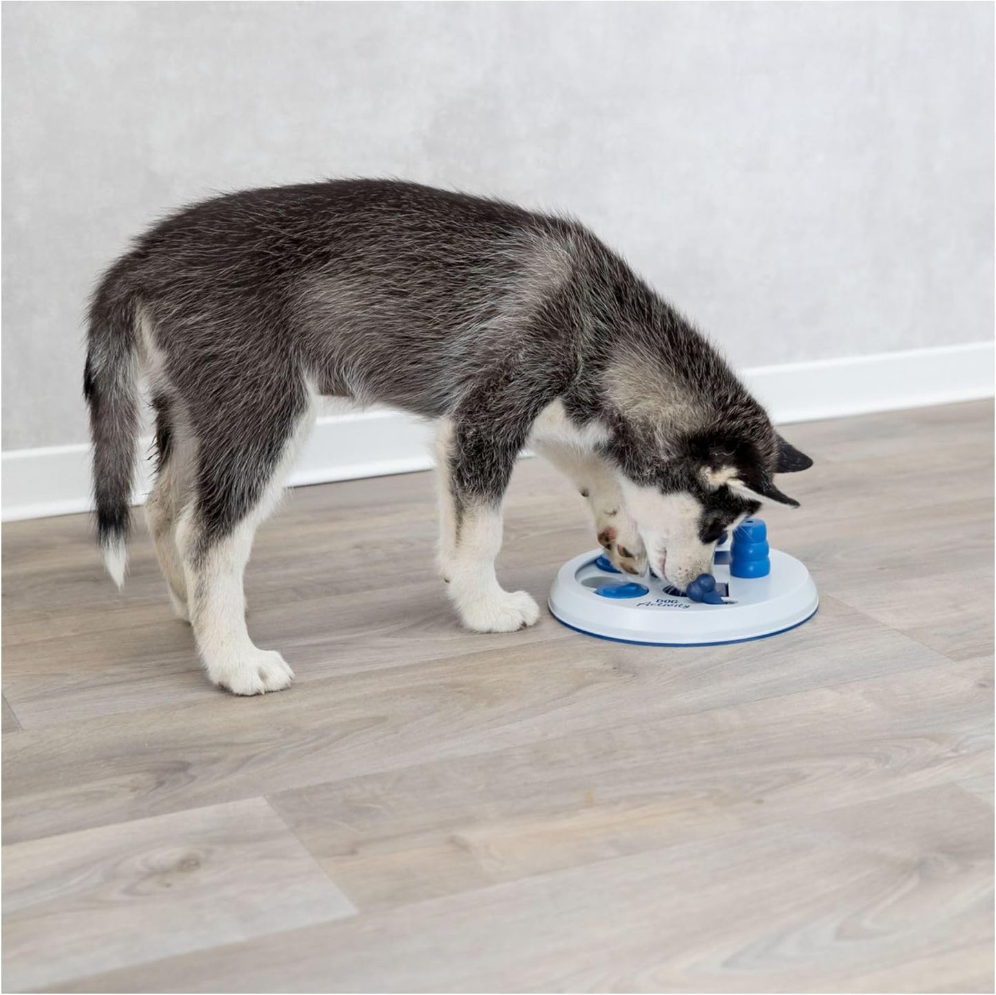 Intelligence Toy Dog Activity "Dog Activity Strategy Game Flip Board, Ø 23 Cm” - 32026