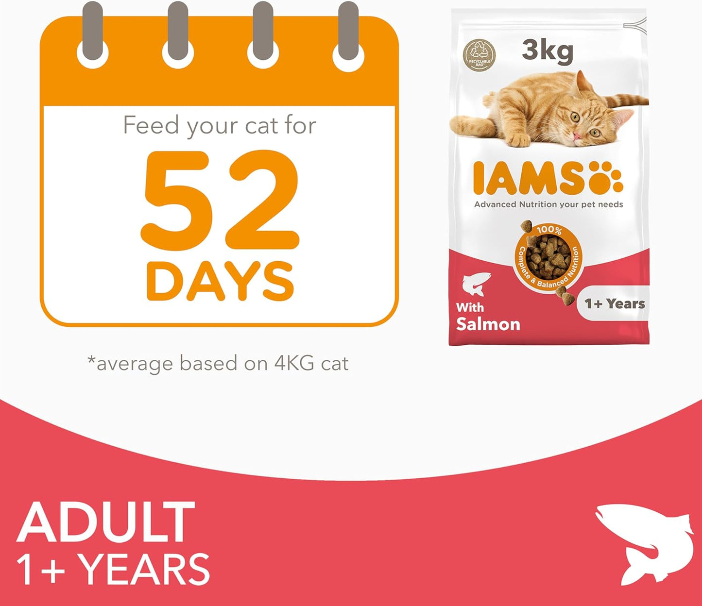 Adult Dry Cat Food Salmon 3Kg