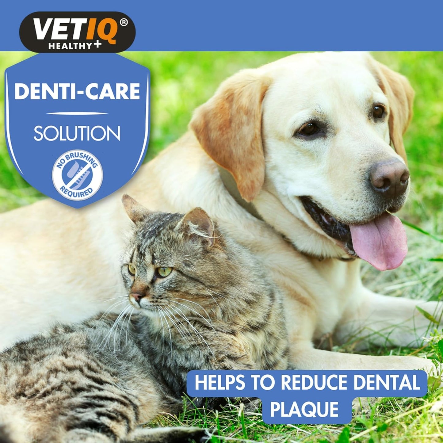 Denti-Care Solution for Cats & Dogs, Simply Add to Drinking Water to Reduce Dental Plaque and Freshen Bad Breath, 250 Ml