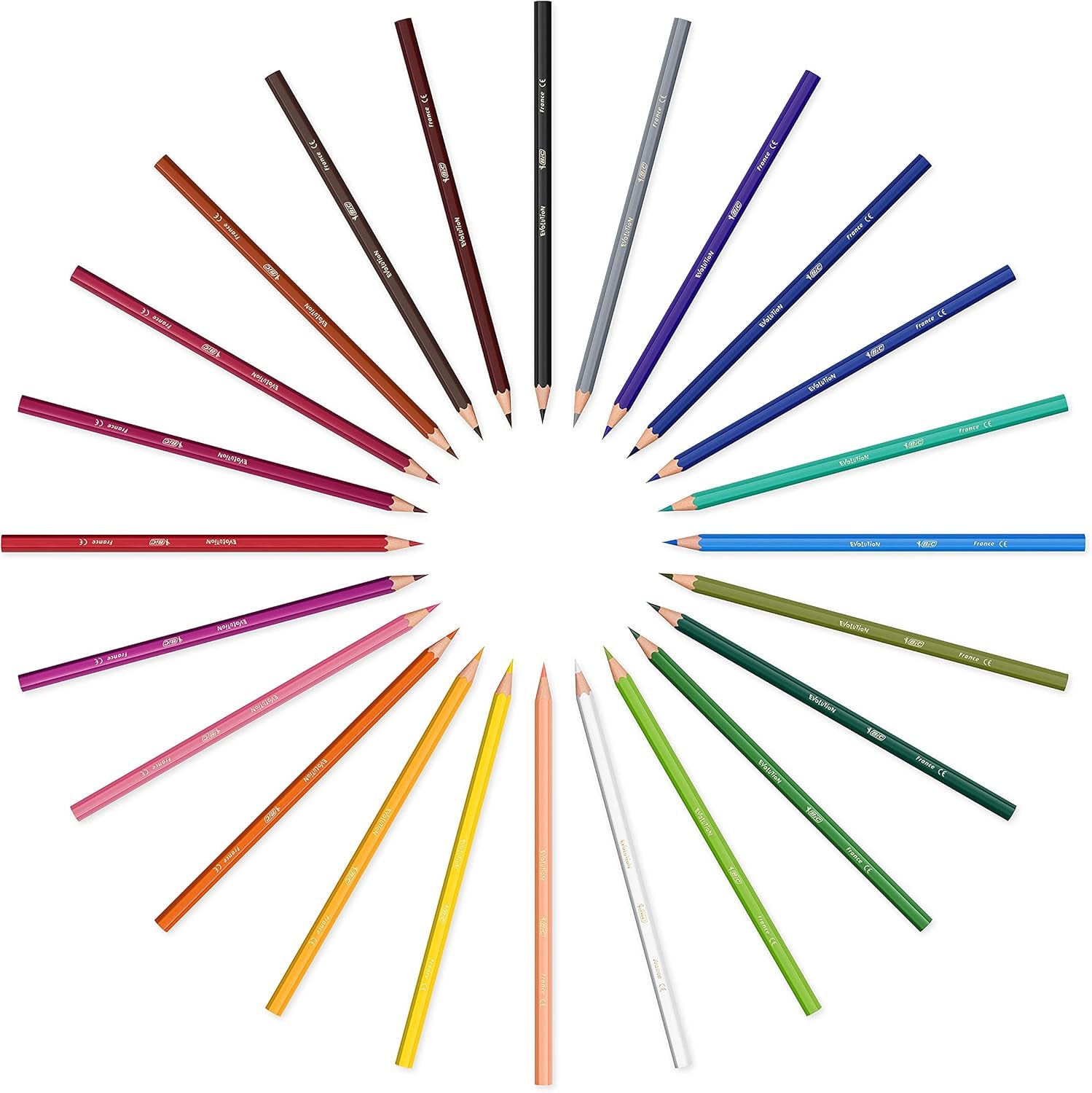 Kids Evolution Coloured Pencils, Vivid Colouring Pencils, Easy to Sharpen, Extra Resistant  Pencils, School Supplies, 24 Pack