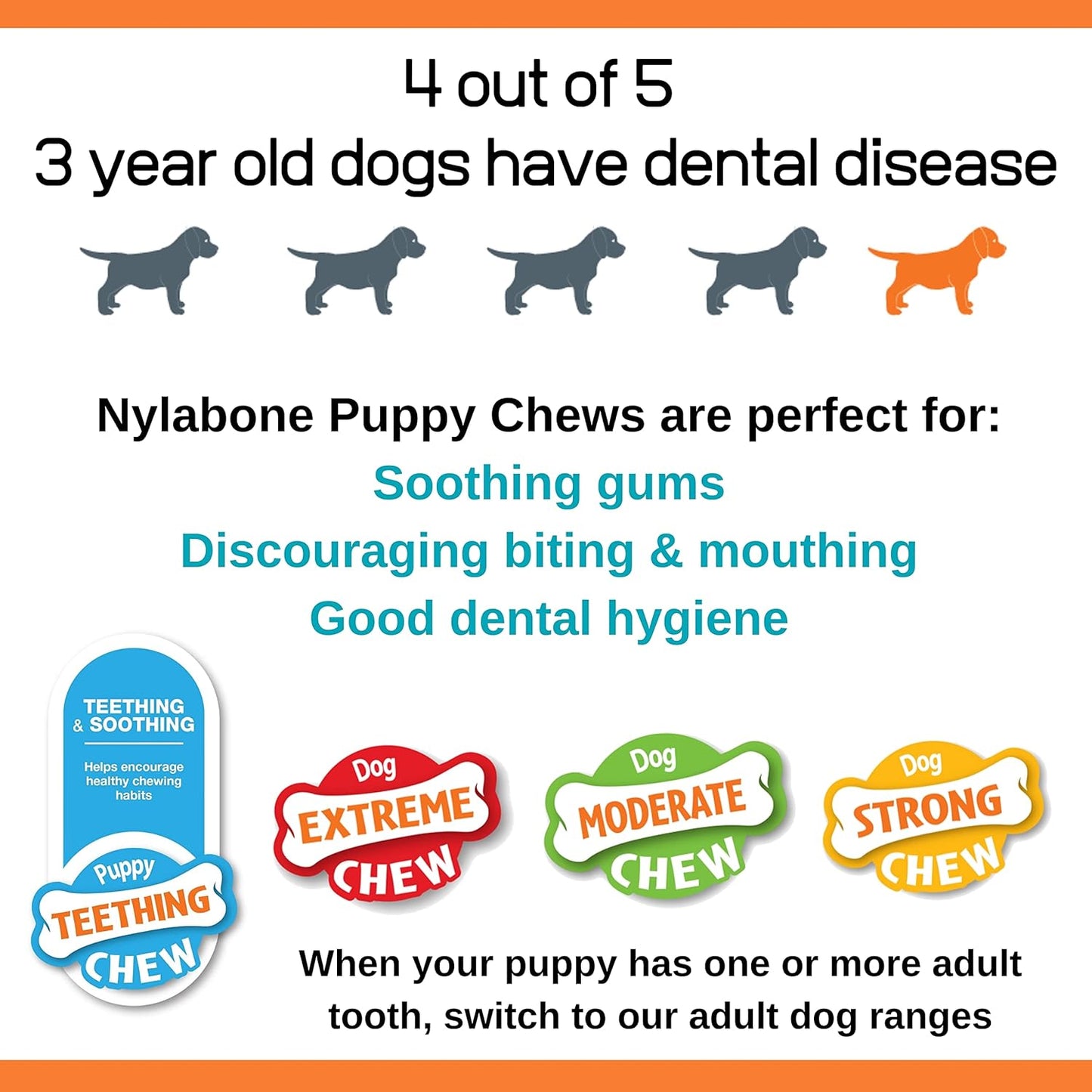 Puppy Starter Kit, Pack of 3 Dental Dog Chew Bones, Teething, Gentle, Graduate, Small, for Puppies up to 11 Kg