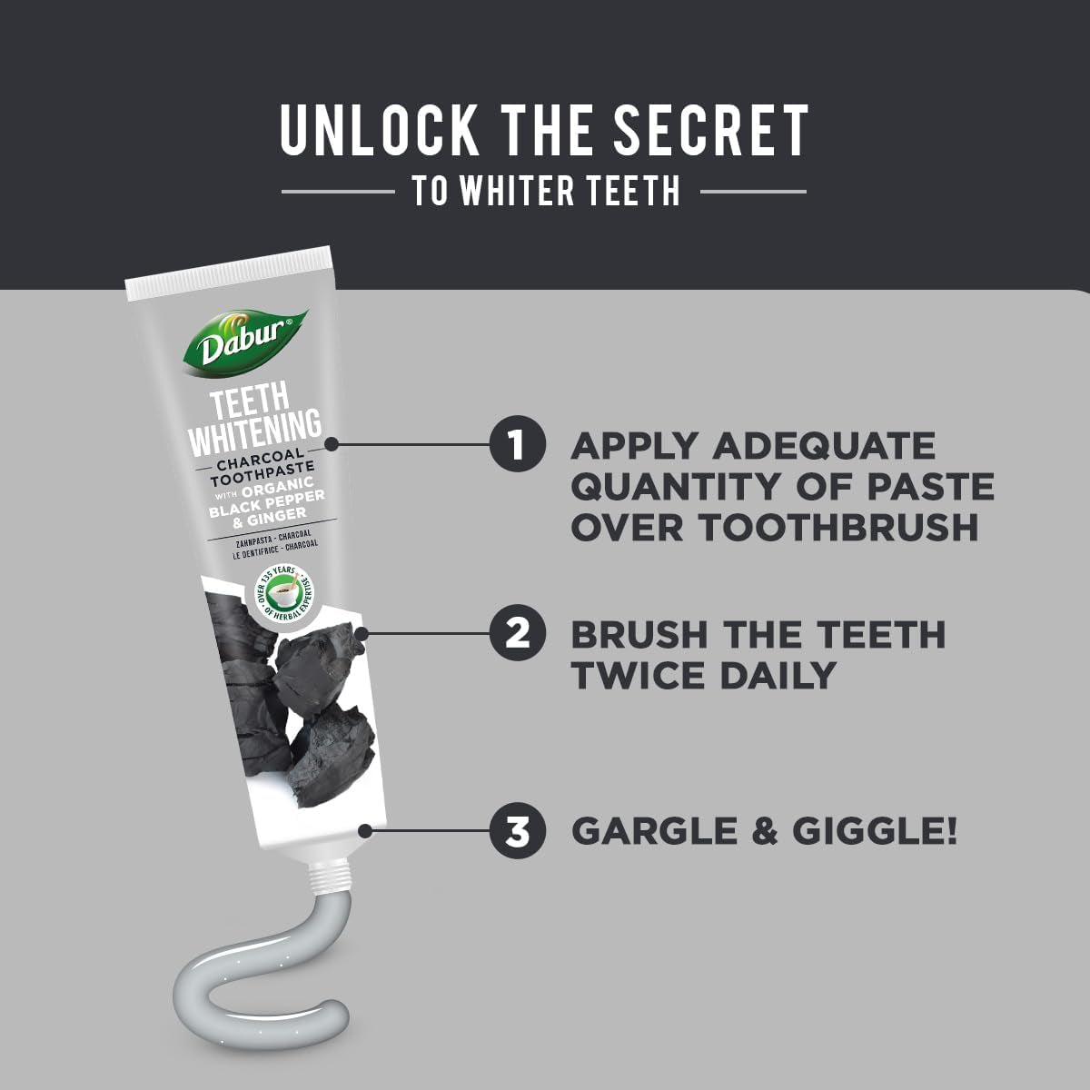 Charcoal Organic Toothpaste - 100Ml | for Teeth Whitening, Brighter Smile & Healthy Gums | Natural Oral Care with Blend of Black Pepper & Ginger Extracts