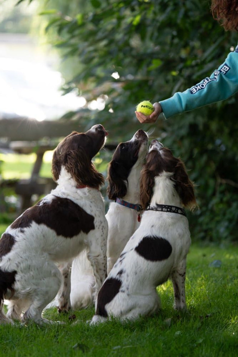 Super Tennis Balls for Dogs - Durable, High-Visibility Fetch Toy for Outdoor Play (3 Pack)