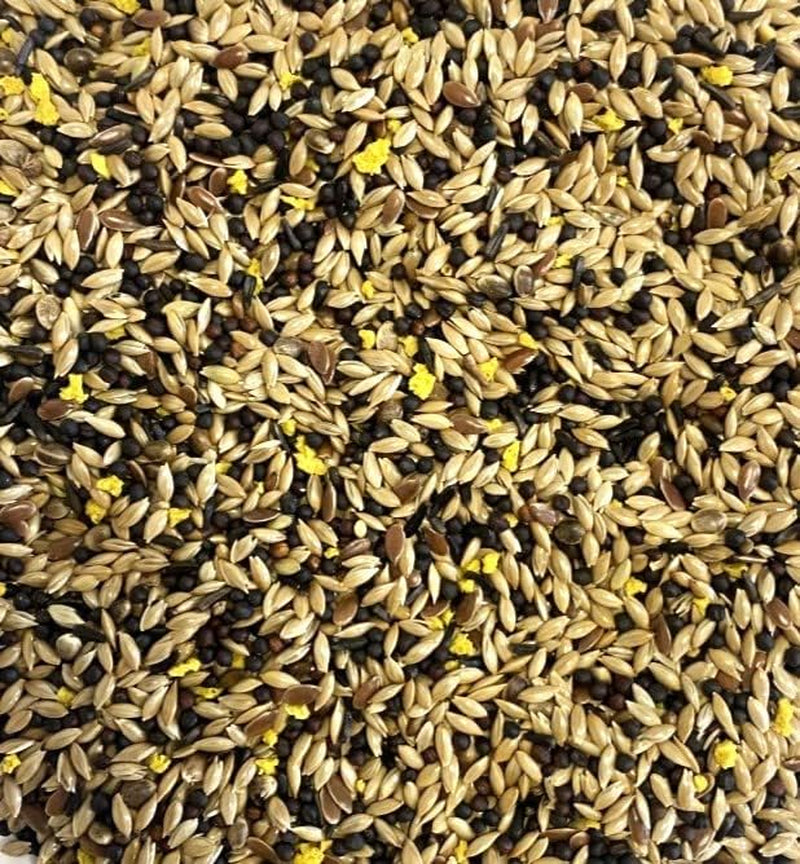 200G MIXED CANARY SEED MIXED CAGE BIRD FOOD SLJ