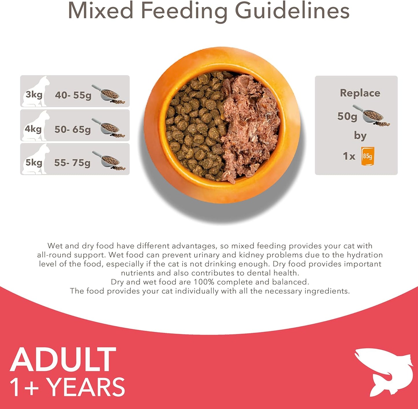 Adult Dry Cat Food Salmon 3Kg