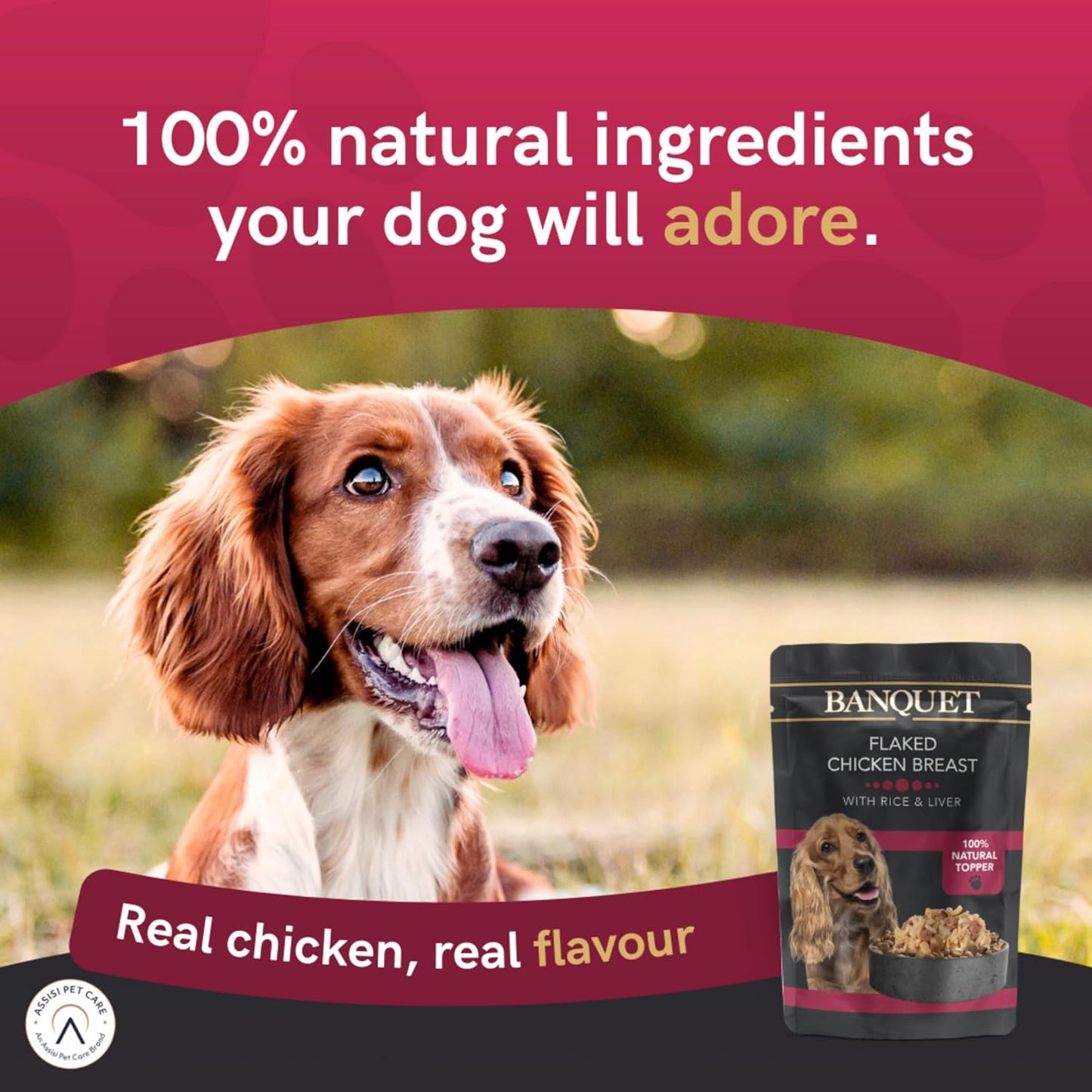 Banquet - Wet Dog Food - Flaked Chicken Breast, Rice, Liver - 100% Natural Ingredients, 15 Pouches X 100G