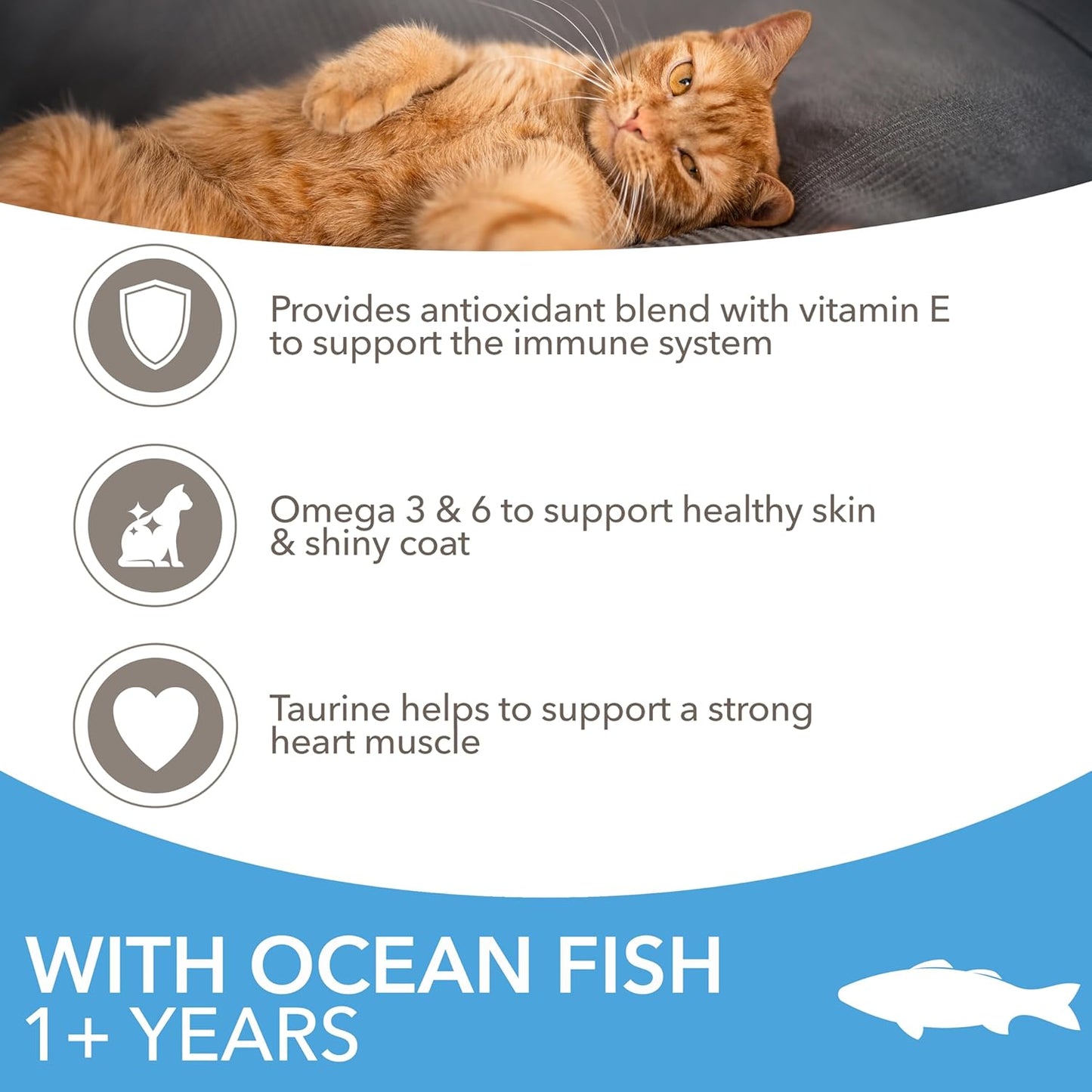 Complete Dry Cat Food for Adult 1+ Cats with Ocean Fish 800 G