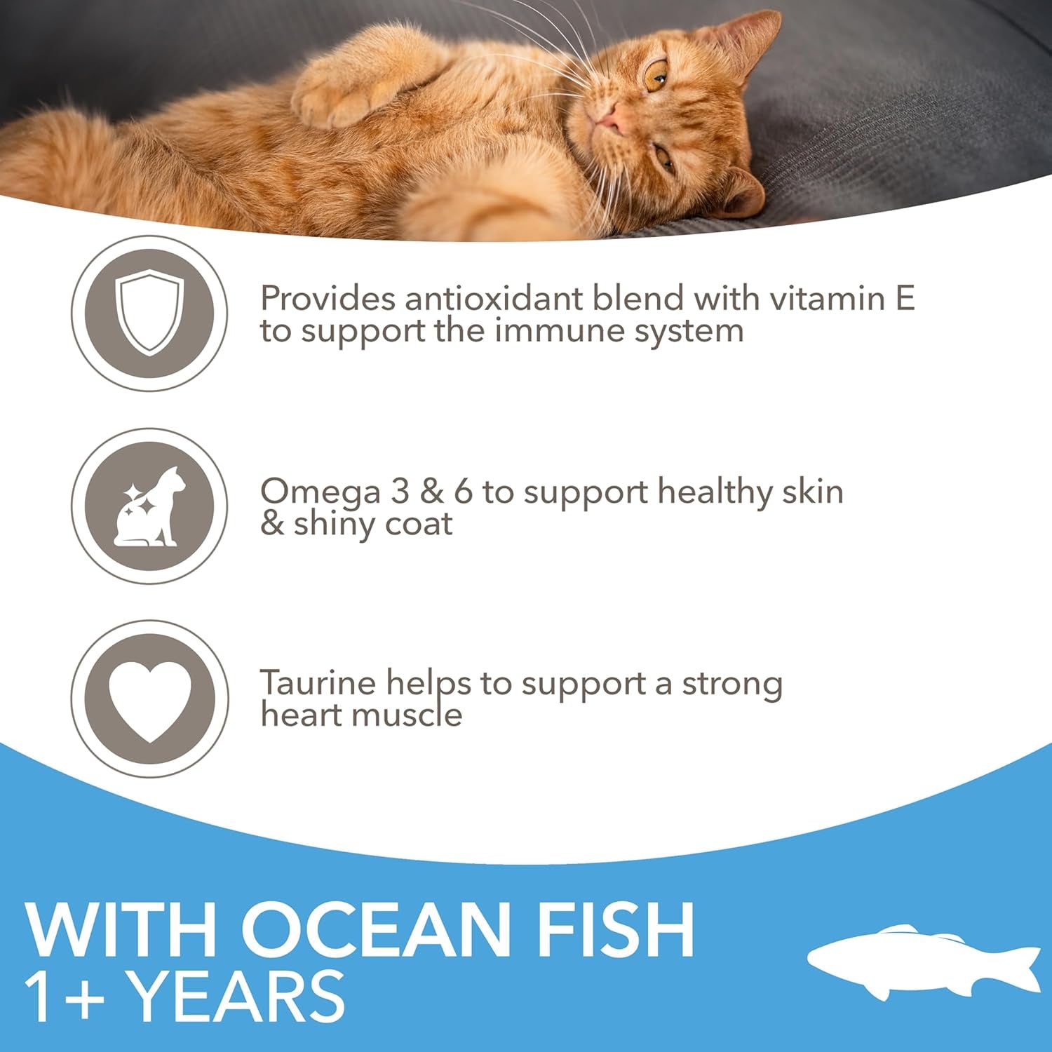 Complete Dry Cat Food for Adult 1+ Cats with Ocean Fish 800 G