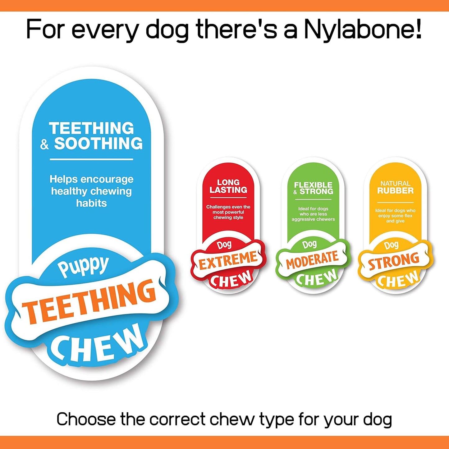 Puppy Starter Kit, Pack of 3 Dental Dog Chew Bones, Teething, Gentle, Graduate, Small, for Puppies up to 11 Kg
