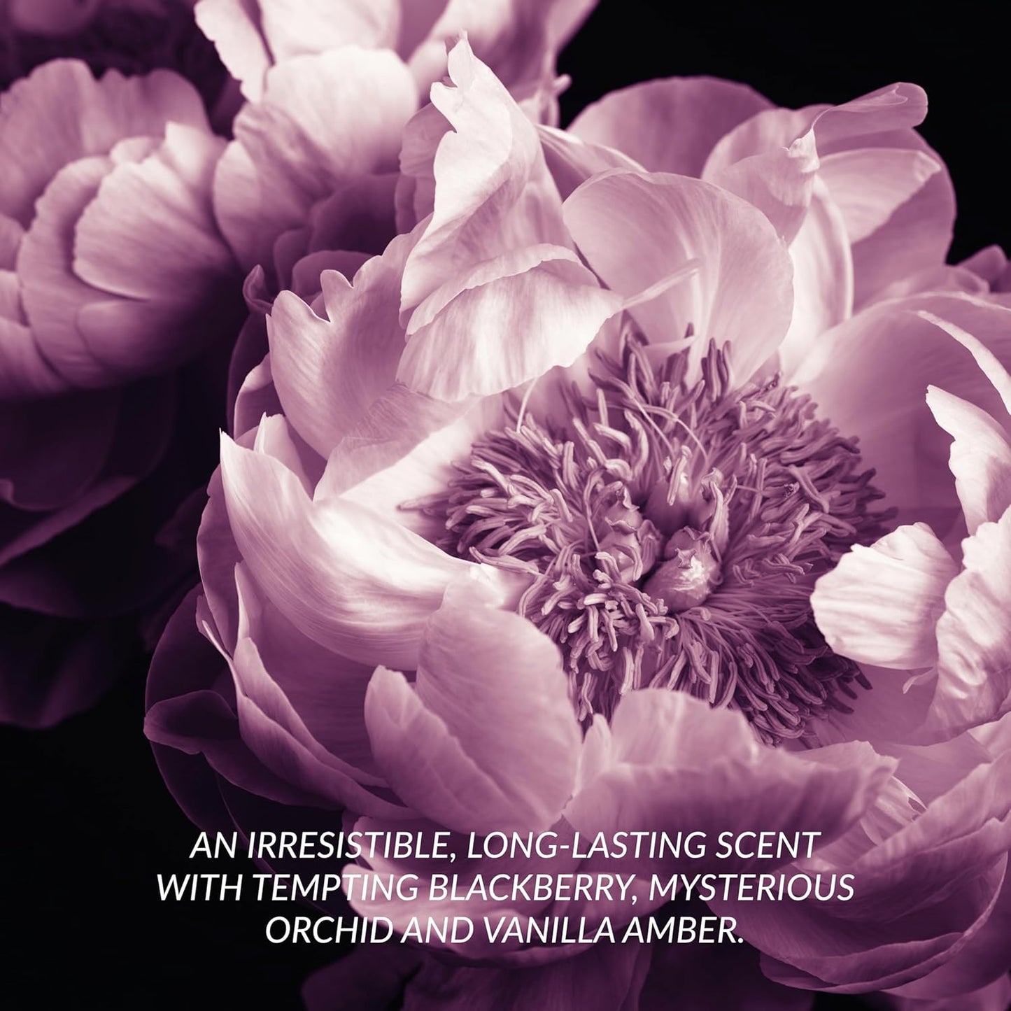 Attraction for Her Eau De Parfum 10Ml, Fruity and Musk Blend, Aphrodisiac in a Bottle, Perfect for on the Go, Cruelty Free