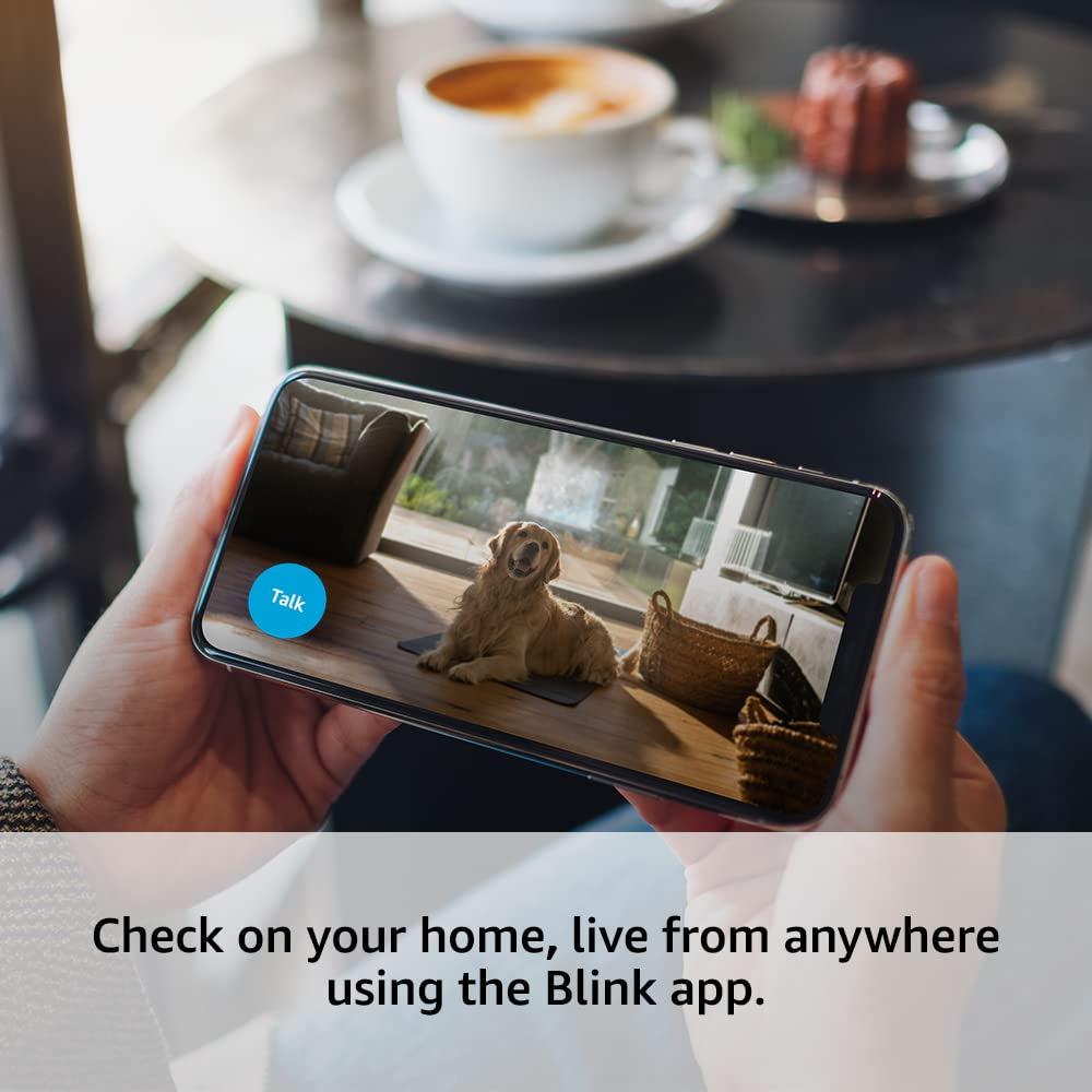 Mini | Indoor Plug-In Pet Security Camera, 1080P HD Day and Night Video, Motion Detection, Two-Way Audio, Easy Setup, Alexa Enabled — 1 Camera (White)