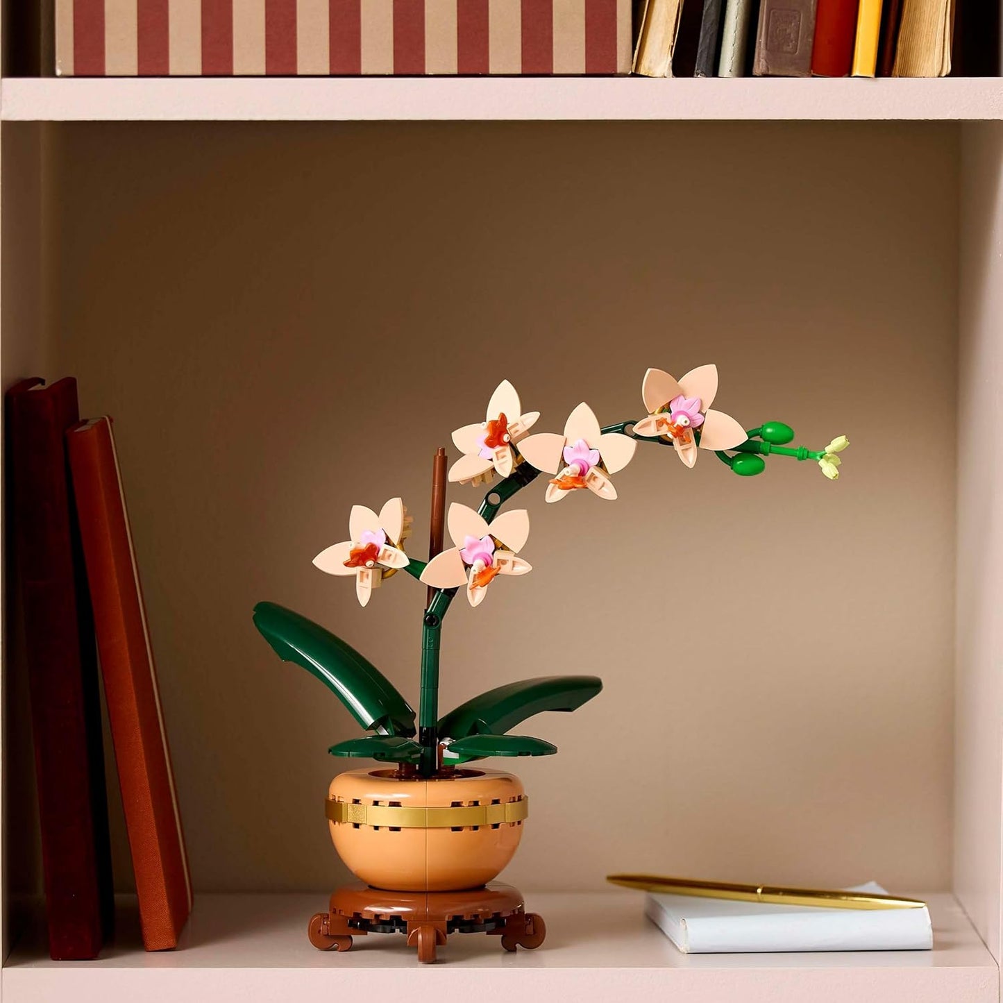 Botanicals Mini Orchid - Artificial Flowers Set for Adults - Indoor Plant with Terracotta Style Flowerpot - Home Decor - Gift for Valentine'S Day for Women and Men - 10343