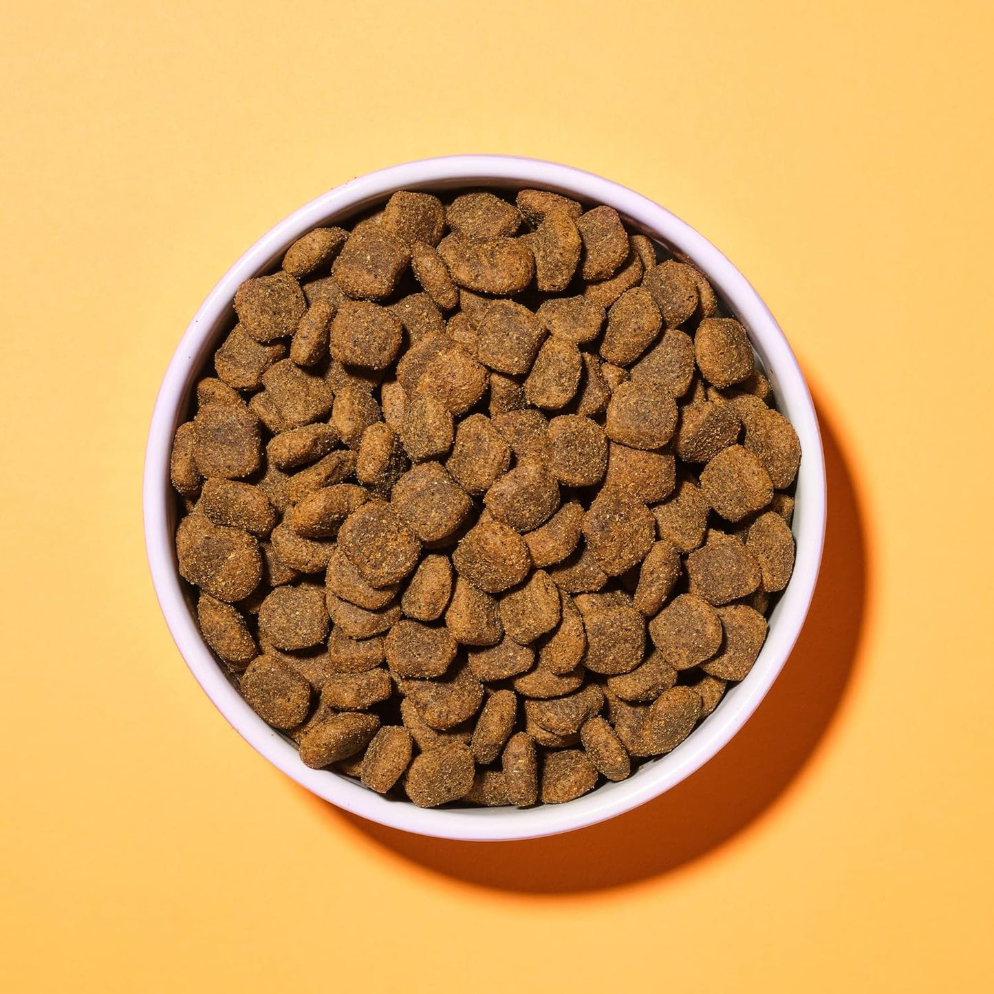 - Complete Adult Dry Dog Food (Grain Free), Chicken & Superfood Blend, 1.5Kg