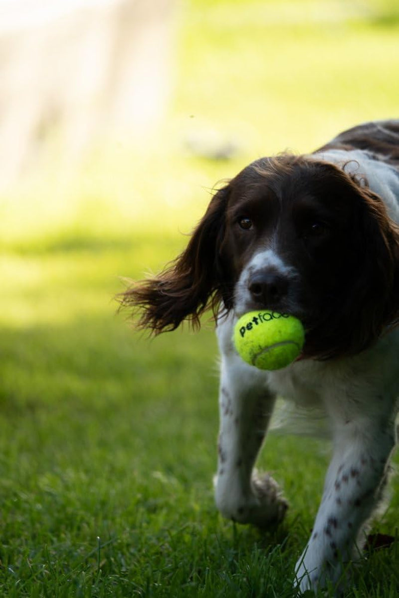 Super Tennis Balls for Dogs - Durable, High-Visibility Fetch Toy for Outdoor Play (3 Pack)