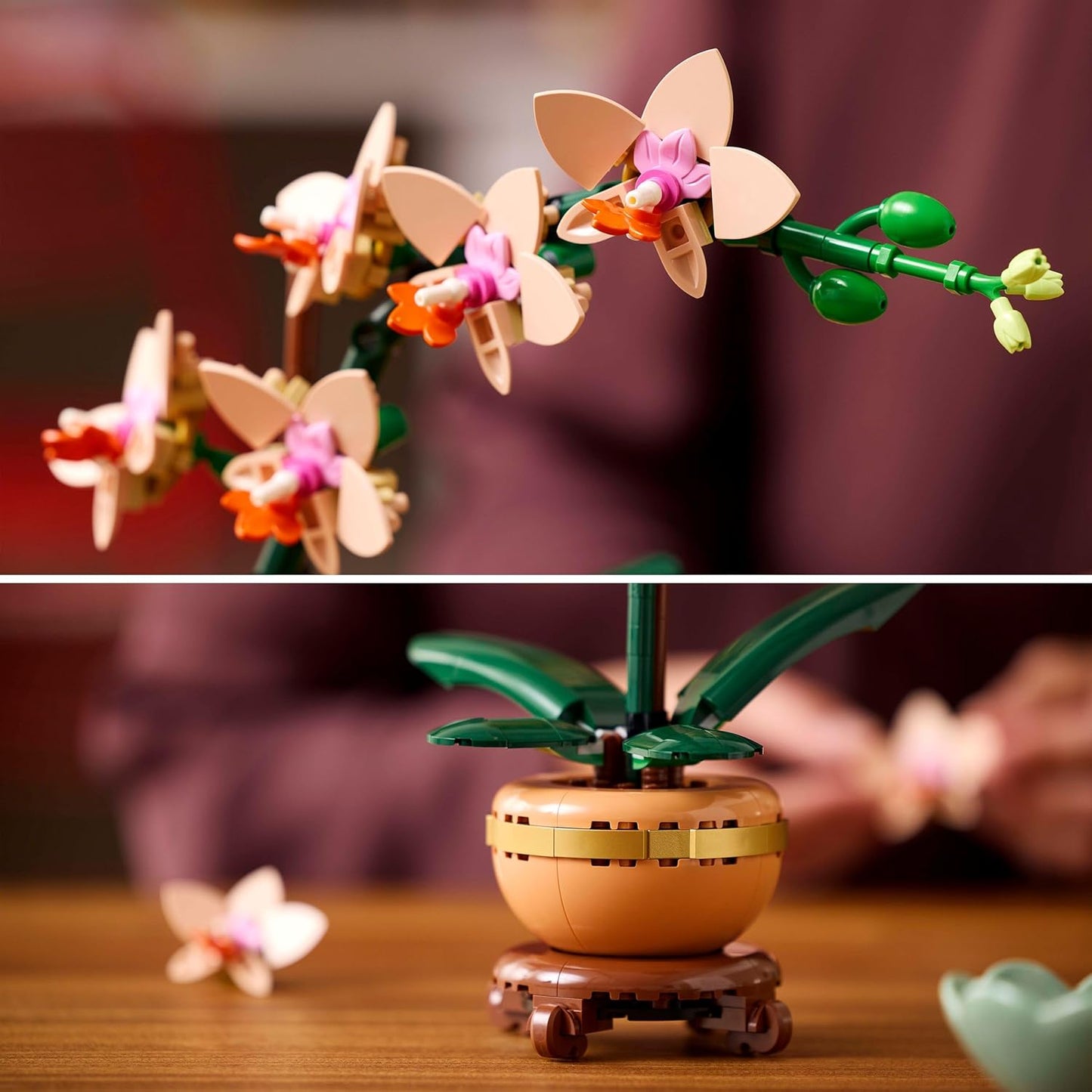 Botanicals Mini Orchid - Artificial Flowers Set for Adults - Indoor Plant with Terracotta Style Flowerpot - Home Decor - Gift for Valentine'S Day for Women and Men - 10343