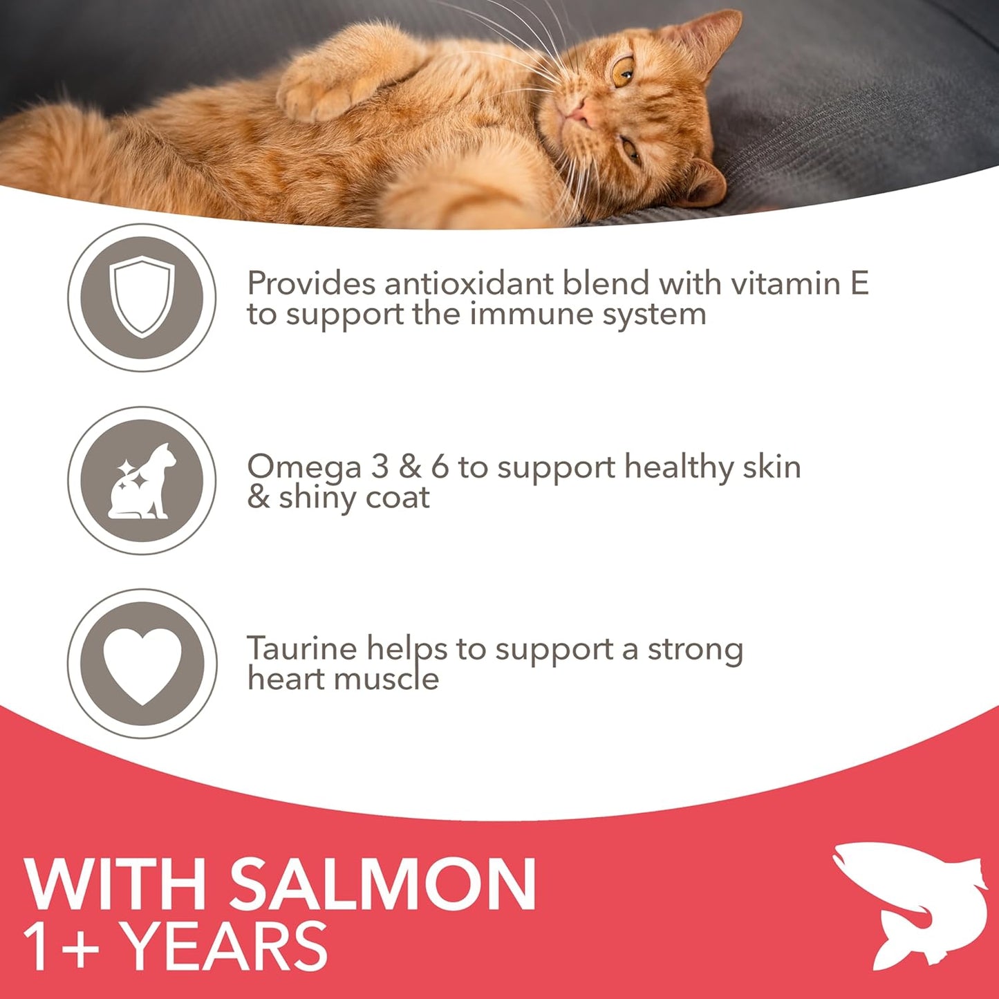 Adult Dry Cat Food Salmon 3Kg