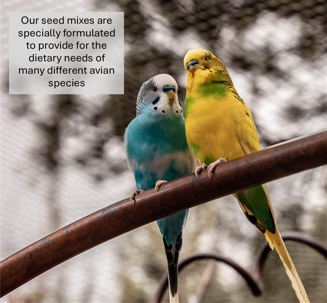 200G MIXED CANARY SEED MIXED CAGE BIRD FOOD SLJ