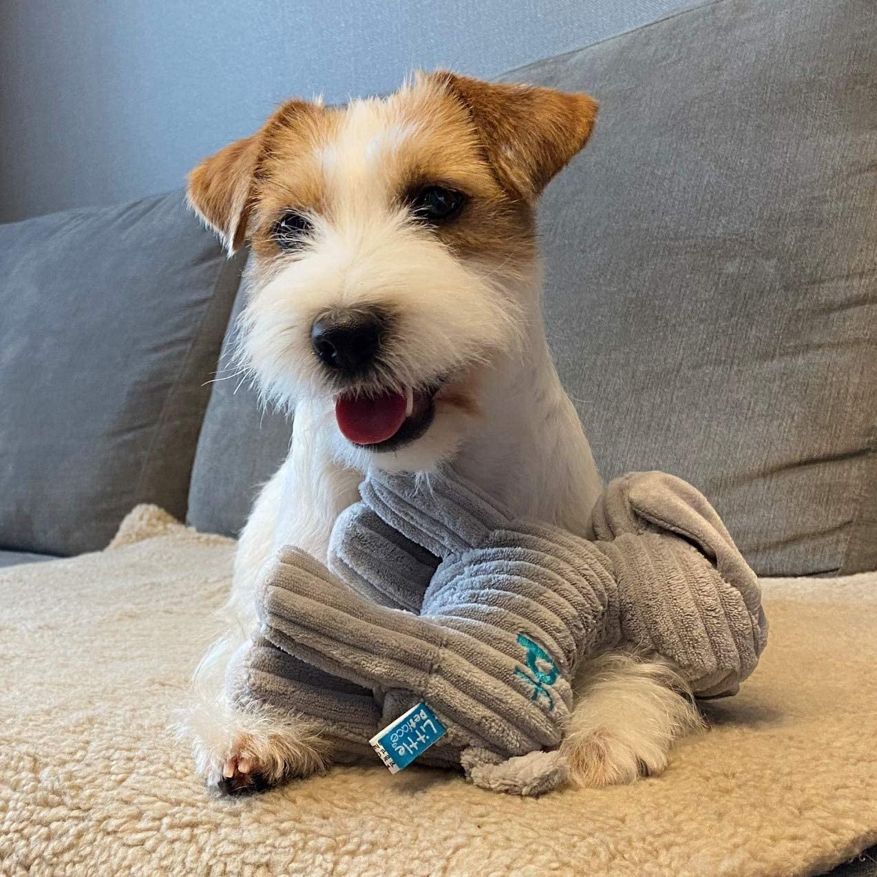 (Little ) Freddi Cord, Plush Puppy Dog Toy