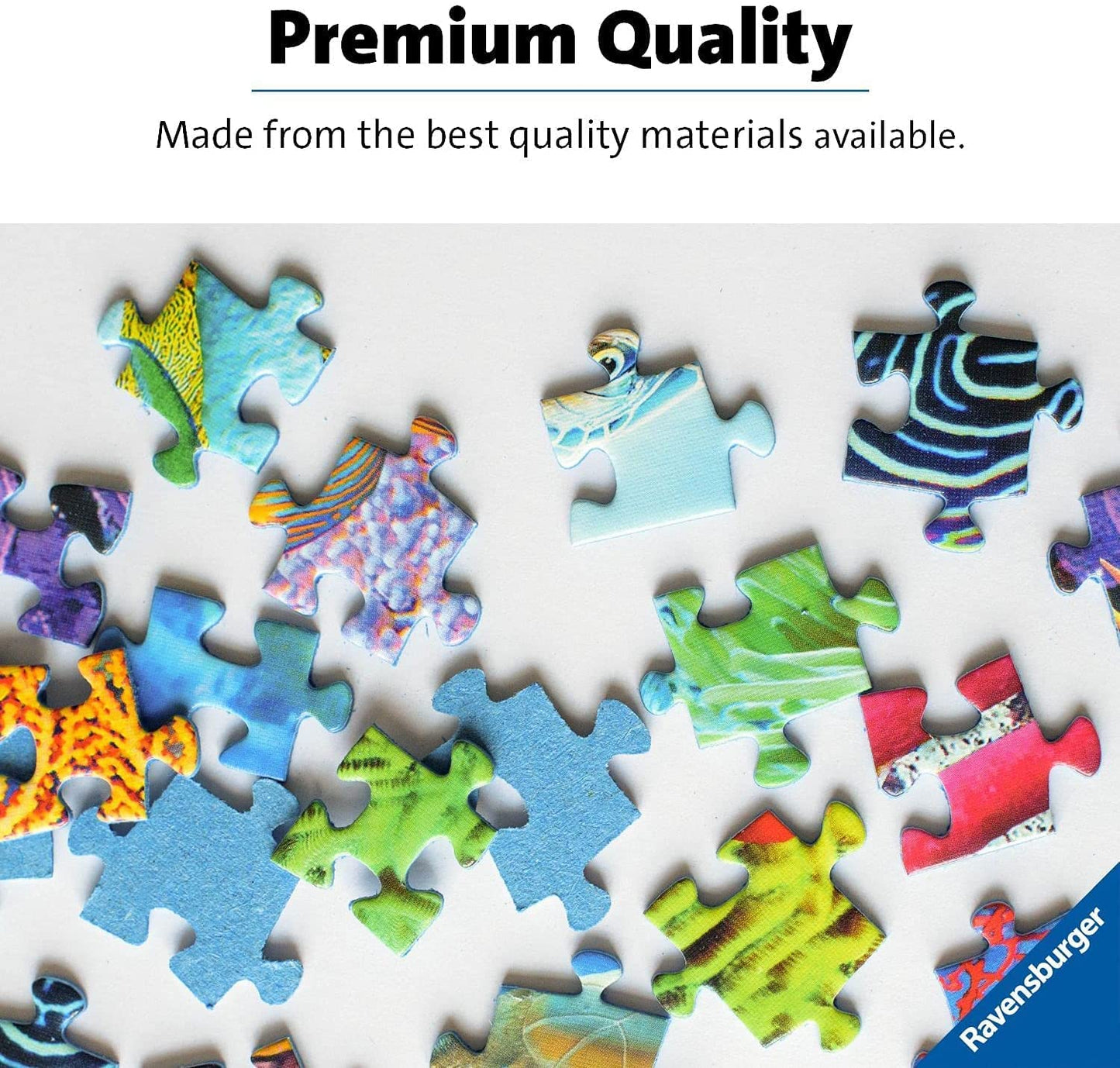 Aimee Stewart behind the Scenes 1000 Piece Jigsaw Puzzles for Adults and Kids Age 12 Years Up