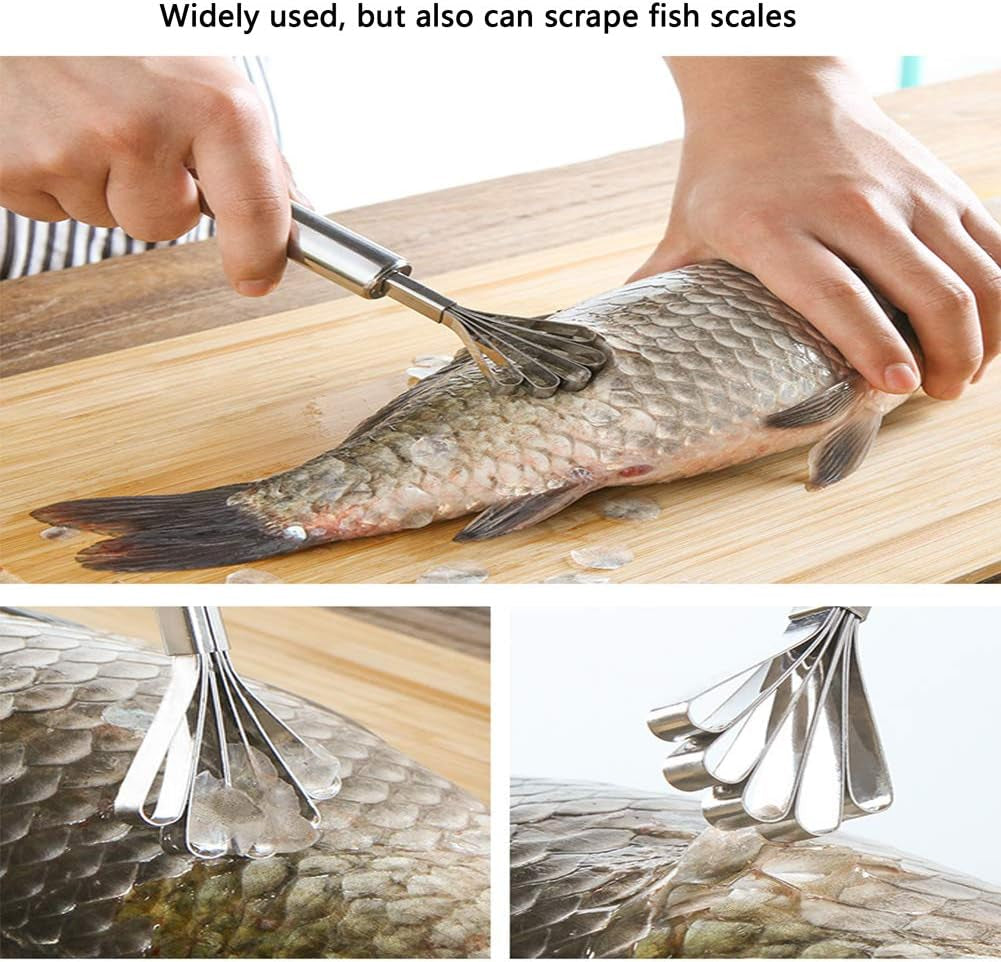 Stainless Steel Coconut Scraper Five-Jaw Design Household Kitchen Tool Coconut Planer Accessory