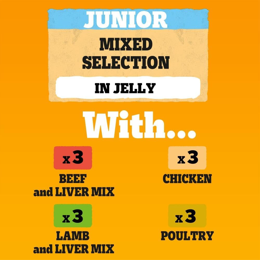 Junior Wet Dog Food for Young Dogs and Puppies, 12 Pouches (12 X 100 G)
