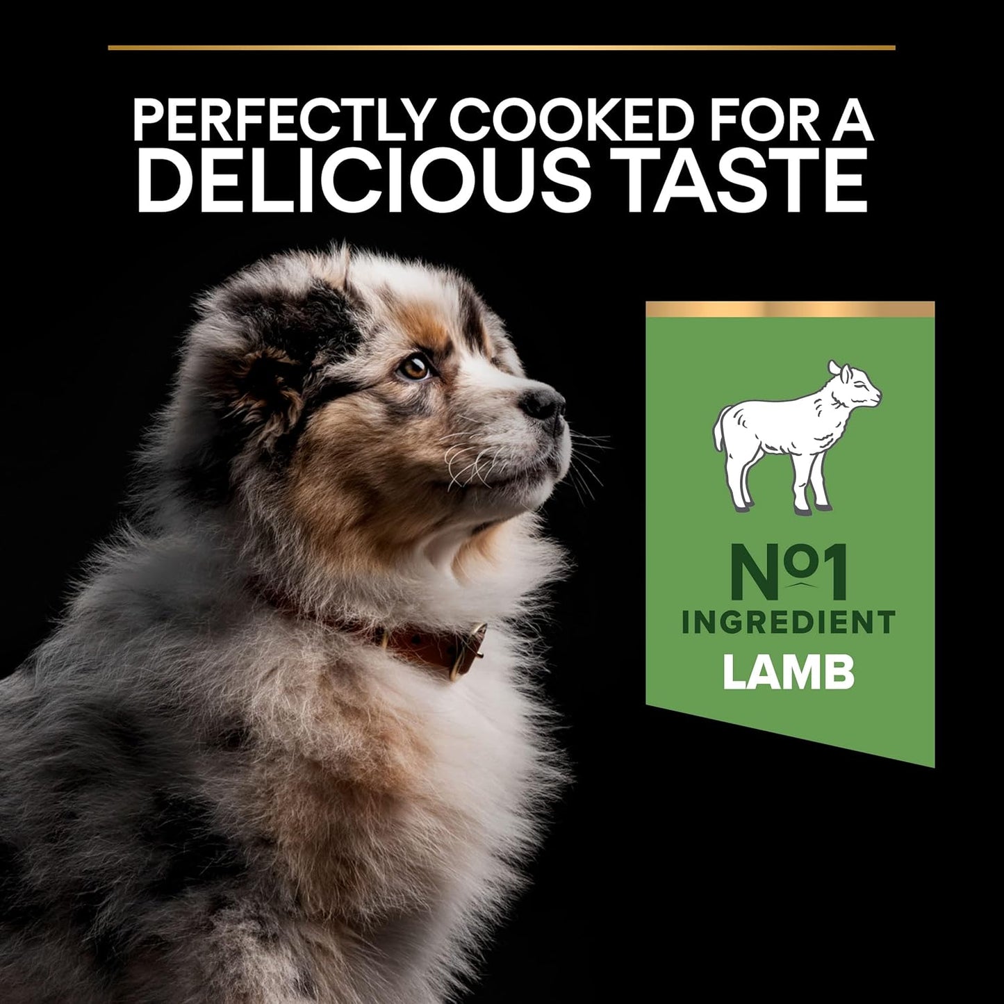 Sensitive Digestion Medium Puppy Dry Dog Food Lamb 3Kg, for Neutered Dogs