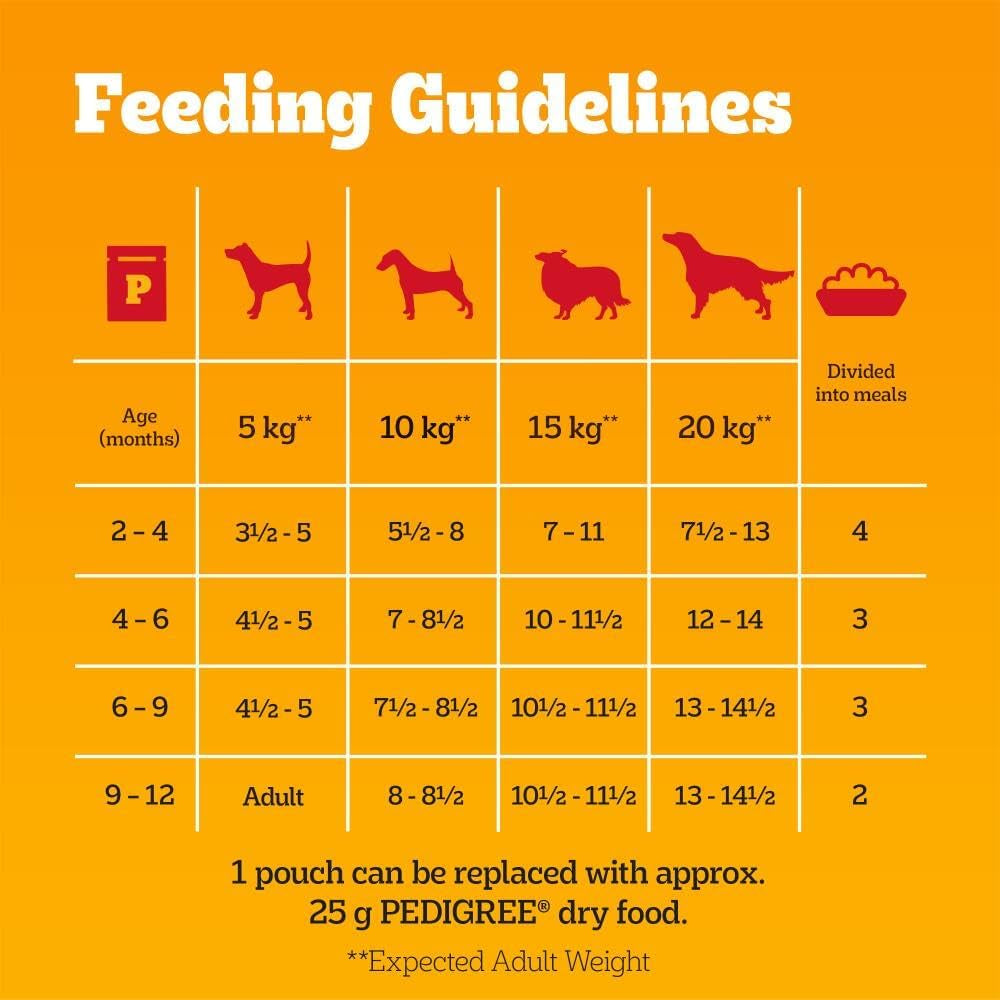 Junior Wet Dog Food for Young Dogs and Puppies, 12 Pouches (12 X 100 G)
