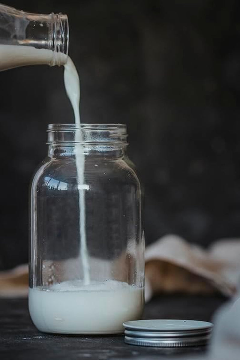 Home Made Kefir Making Kit in Gift Box, Glass/Cheese Cloth