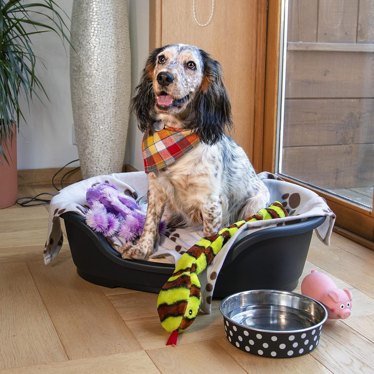 Plastic Dog Bed, Black, Small (60 Cm)