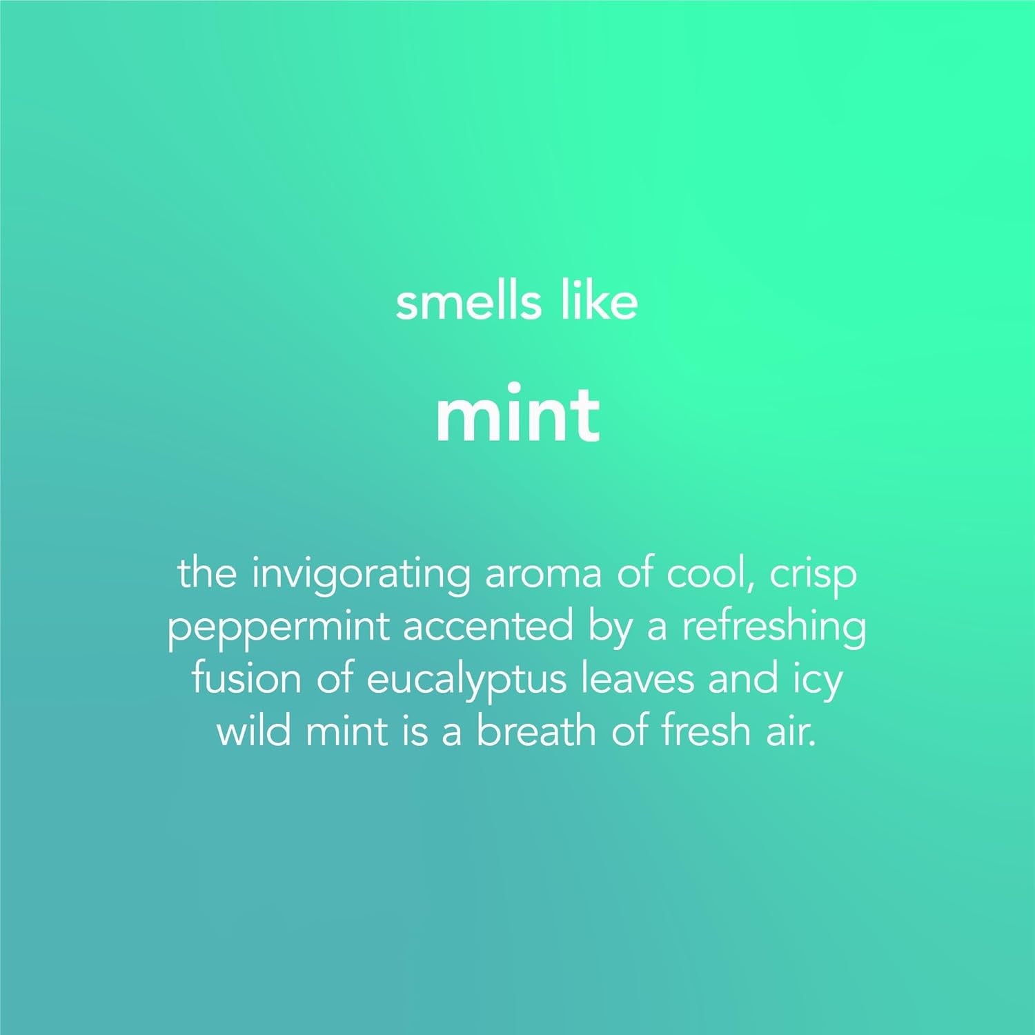 Glass Cleaner Spray, Window and Stainless Steel Glass Spray, Fresh and Vibrant Mint Scent, Pack of 1, 1 X 828 Ml