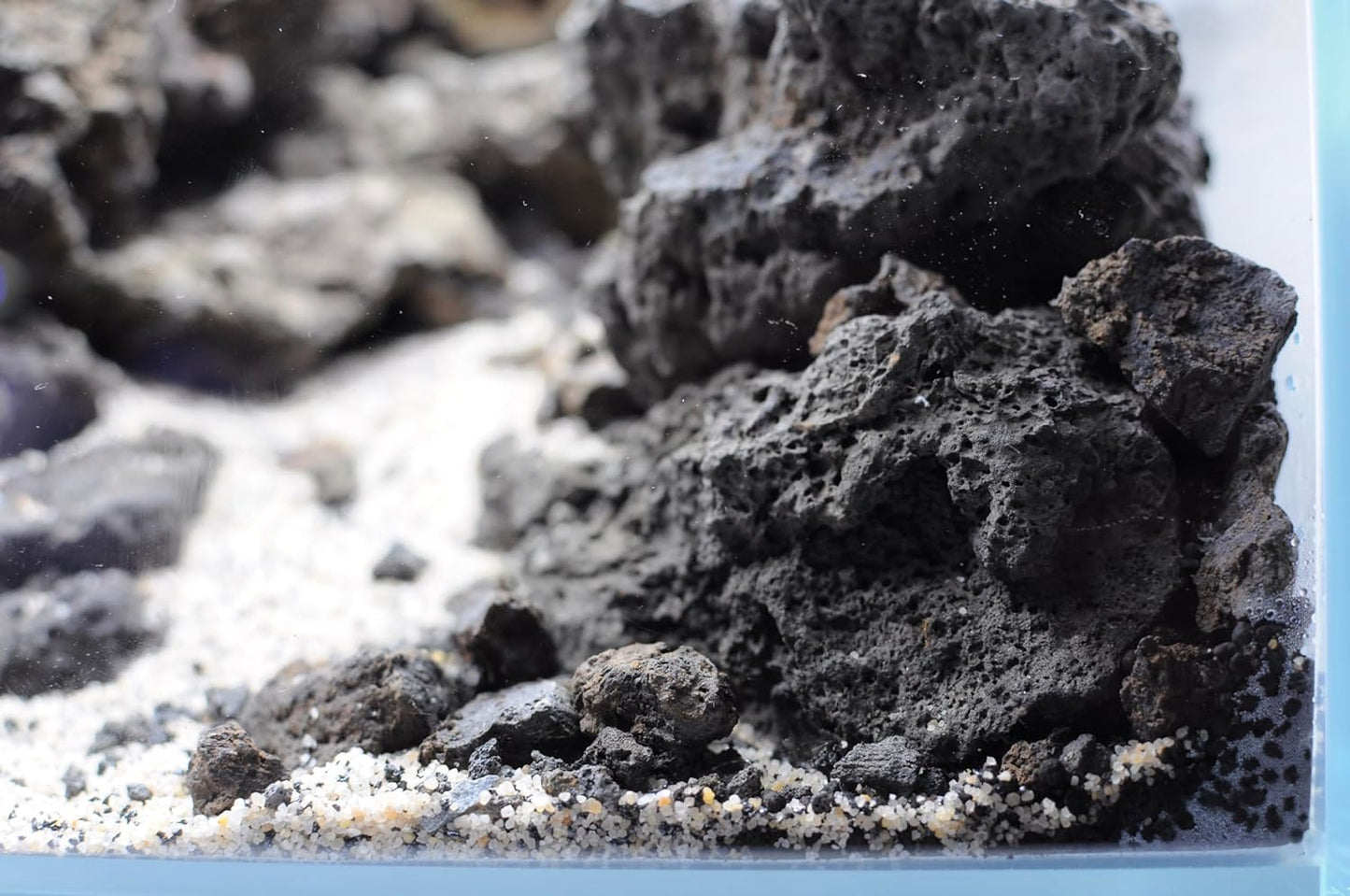 Polychrome - Natural Aquarium Gravel, Decorative Soil, Sand and White Gravel, Grains 3-4 Mm, 2 KG