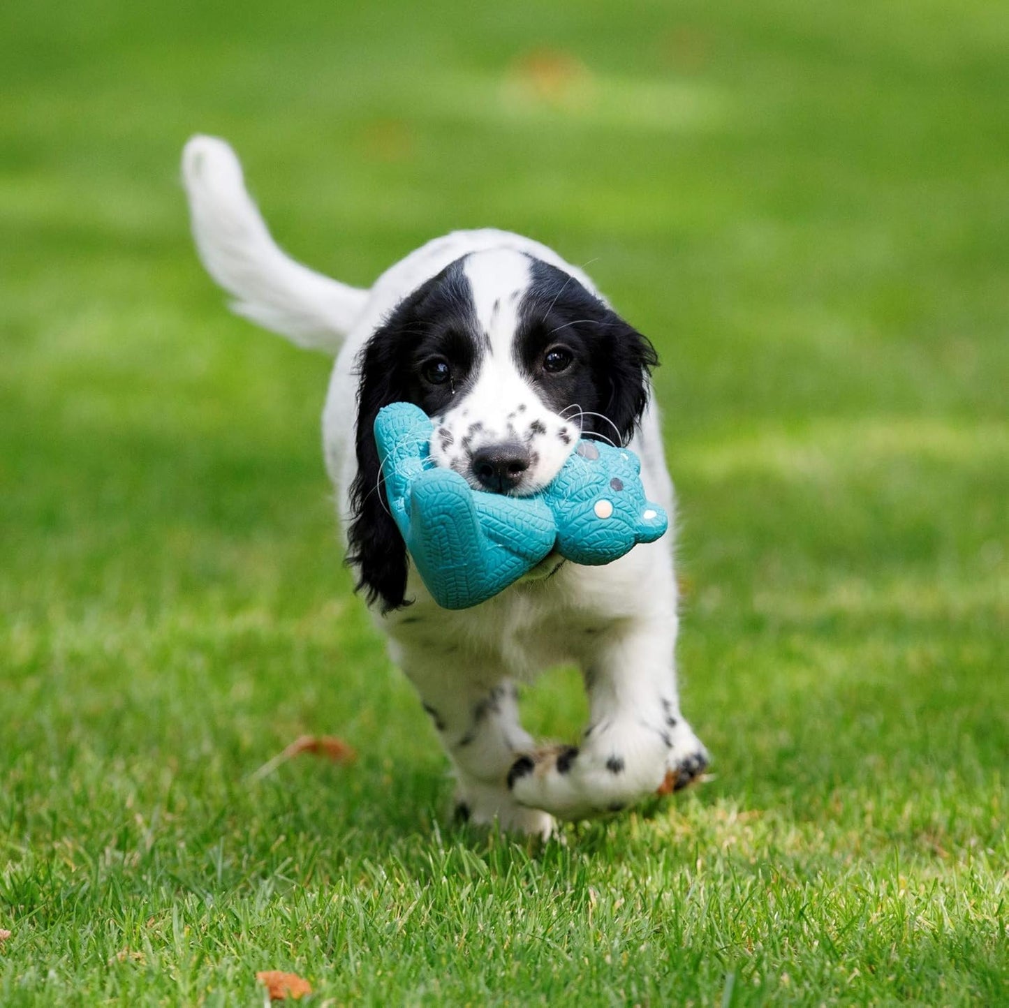 Little  Teddy Bear Latex Chew Dog Toy, Blue (Pack of 1)
