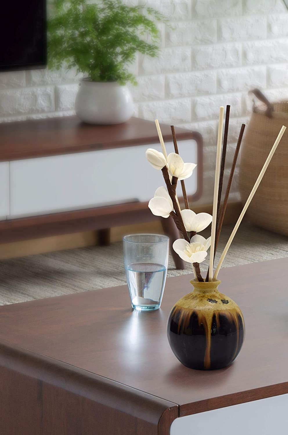 100Pcs Black Reed Diffuser Sticks Add 2 Pcs Sola Flowers 10 Inch Fiber Reed Diffuser Refill Aromatherapy Sticks Replacements Stick for Home