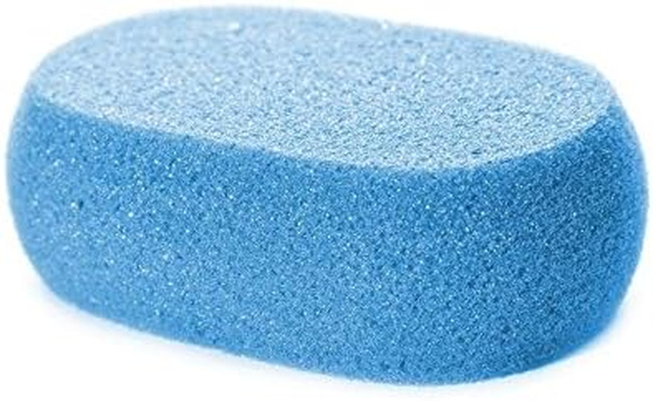 Oblong Bath Sponge, Color May Vary
