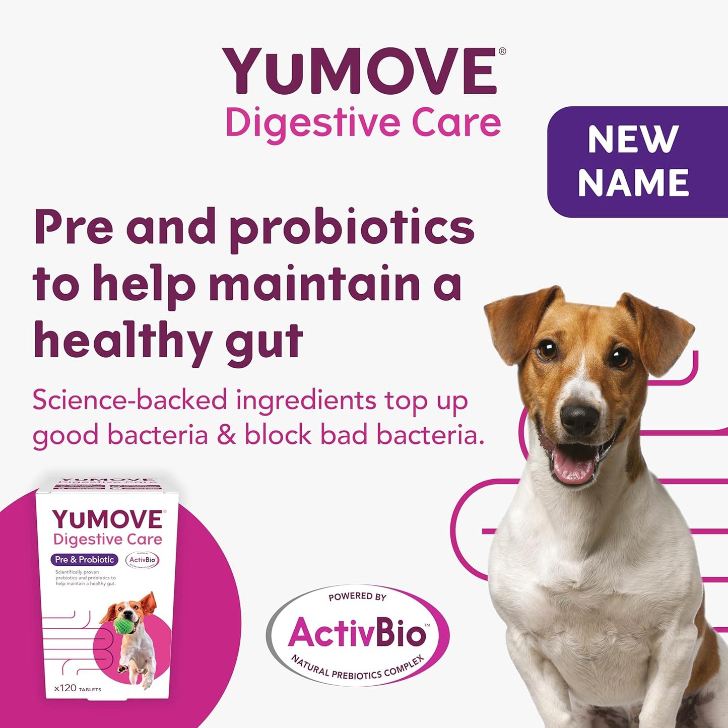 Digestive Care for All Dogs | Previously Yudigest | Probiotics for Dogs with Sensitive Digestion, All Ages and Breeds | 120 Tablets