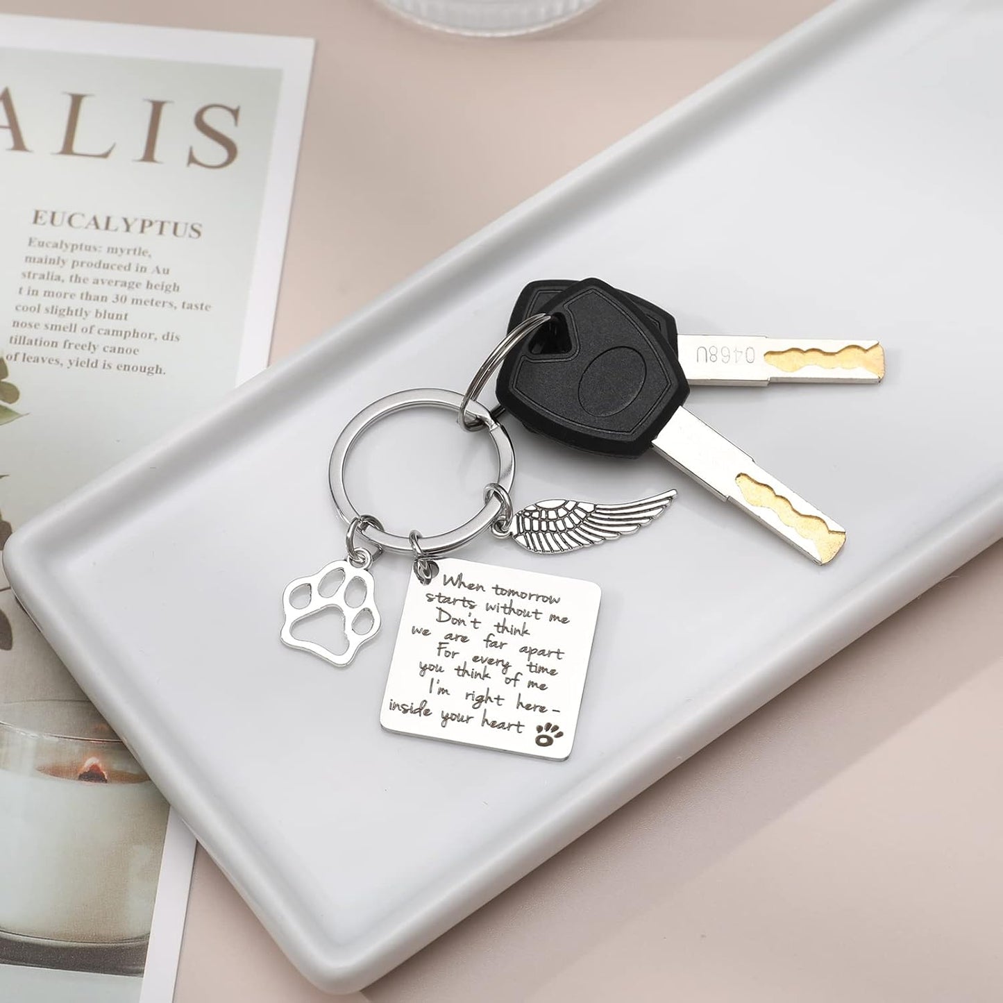 Dog Memorial Gifts Key Ring Pet Sympathy Gift Dog Remembrance Keychain Loss of Pet Paw Prints Memorial Dog Keyring for Pet Lover