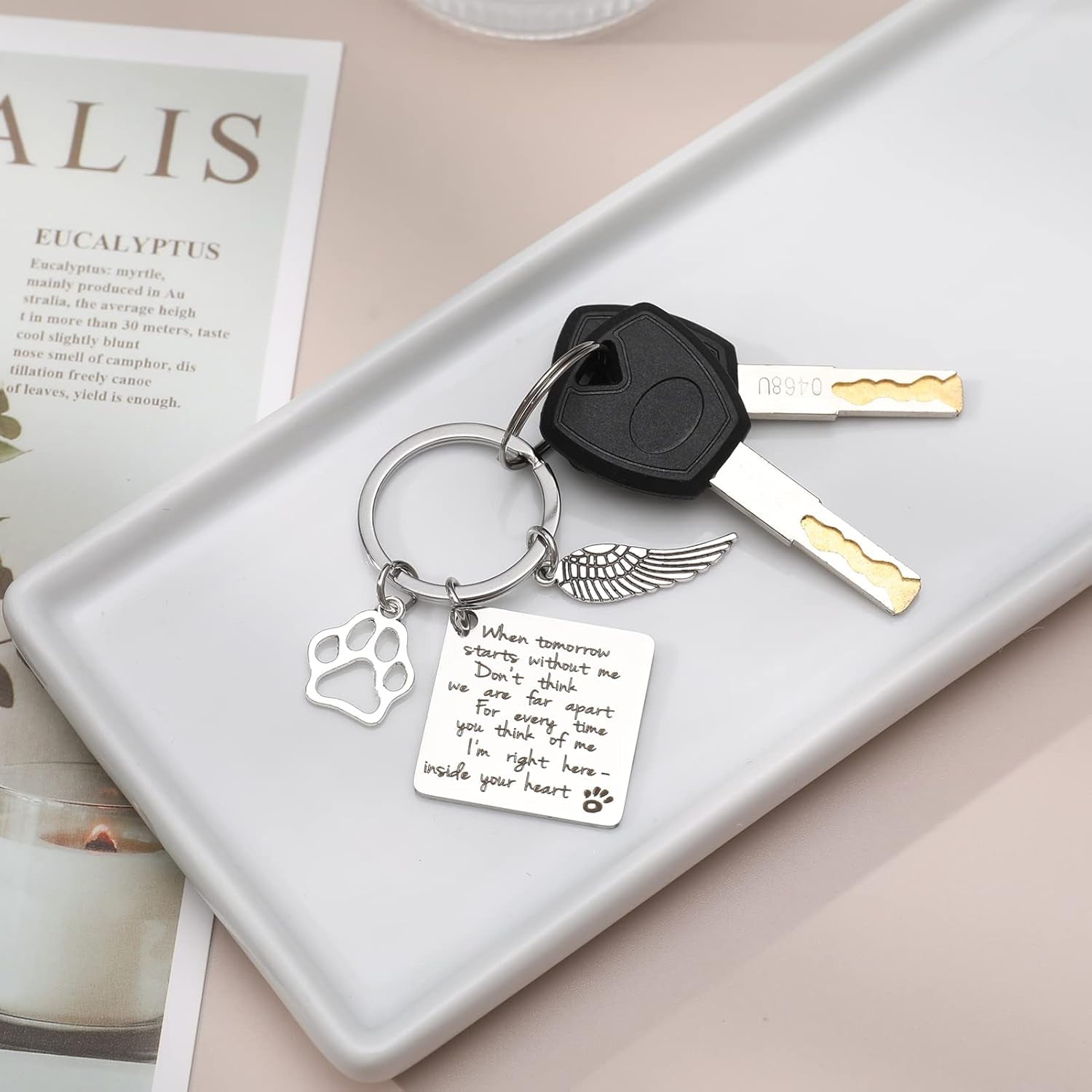 Dog Memorial Gifts Key Ring Pet Sympathy Gift Dog Remembrance Keychain Loss of Pet Paw Prints Memorial Dog Keyring for Pet Lover