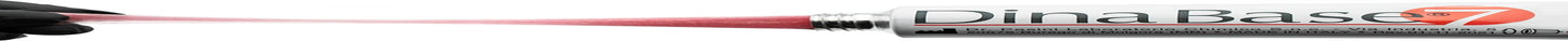 Thermoplastic Denture Adhesive, Cushion and Reliner