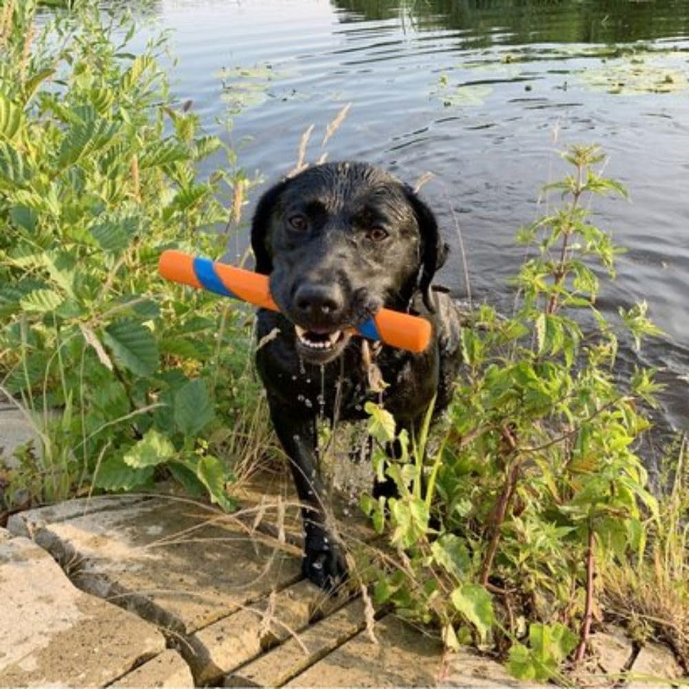 Ultra Fetch Stick Outdoor Dog Toy, for All Breed Sizes