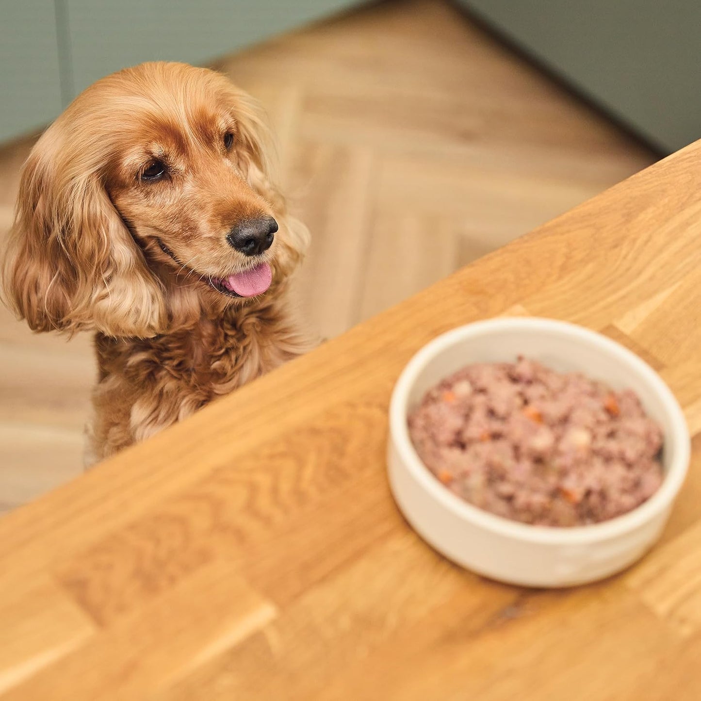 Natural Adult Dog Food Wet Trays - Classic Dinners Multipack - Chicken, Lamb & Beef - Complete Meal Recipes (6 Trays X 150G)