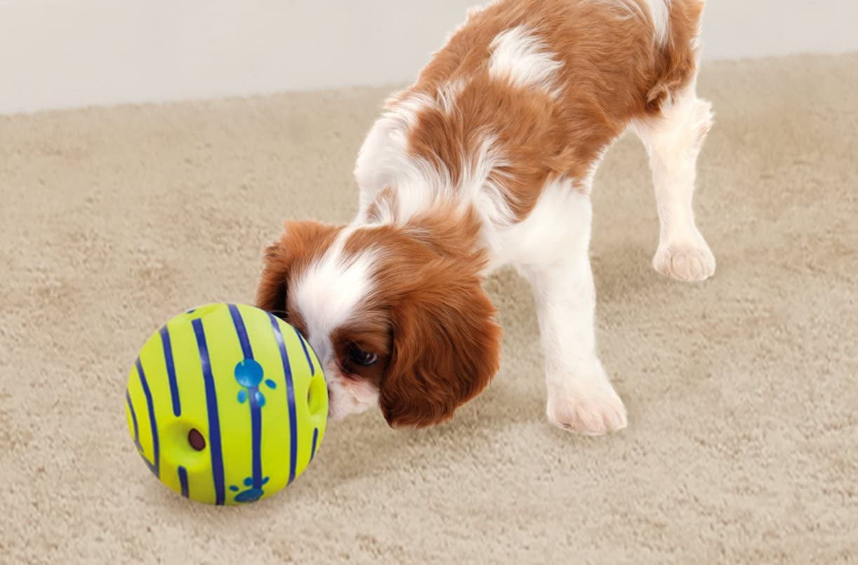 Allstar Innovations Ball, Dog Toy, as Seen on TV