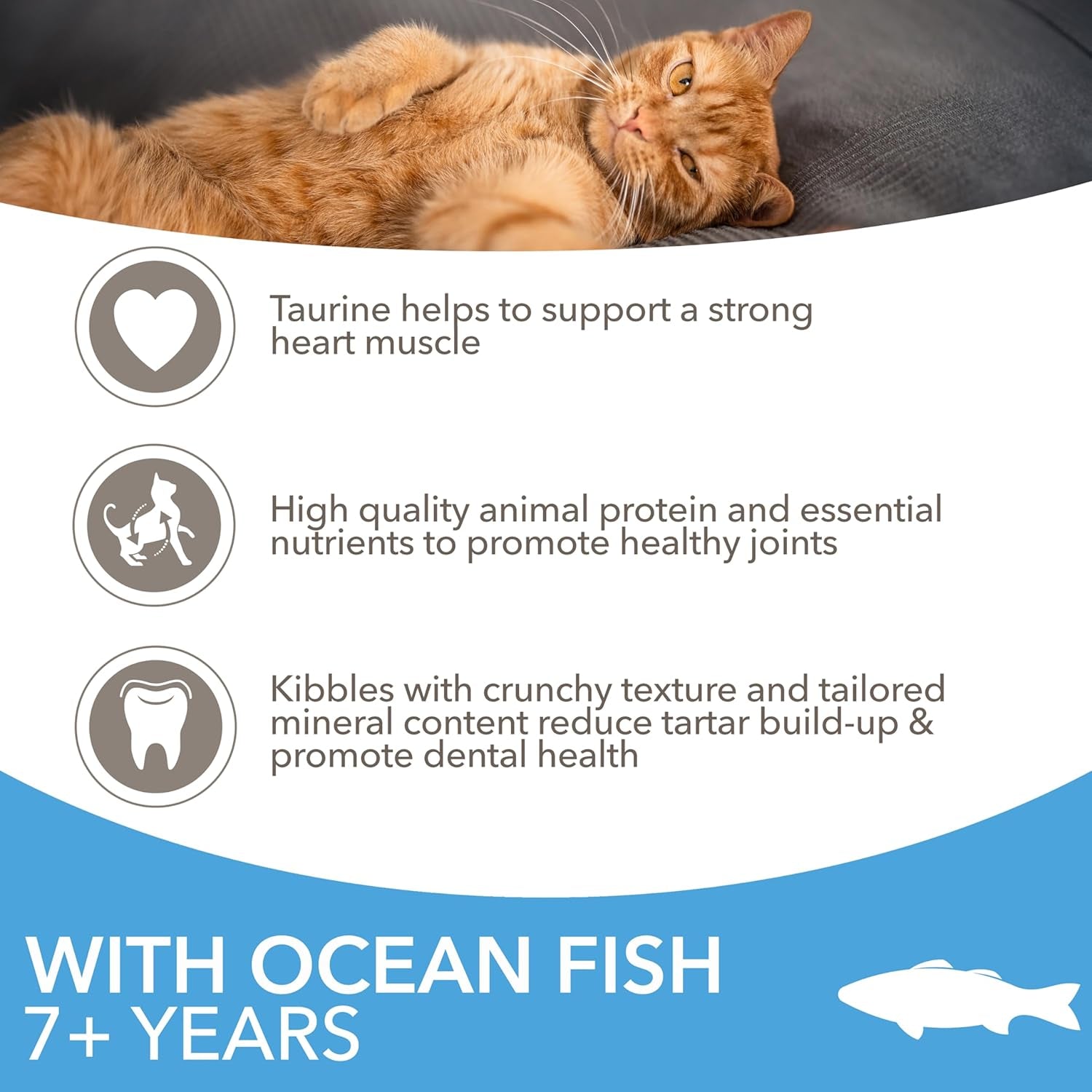 Complete Dry Cat Food for Senior 7+ Cats with Ocean Fish 800 G