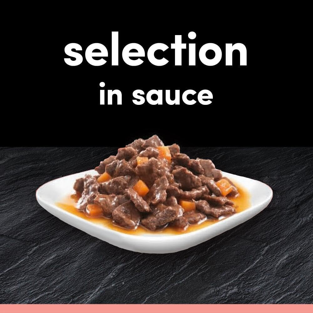 Adult Dog Pouches Sauce Selection in Gravy 40X100G