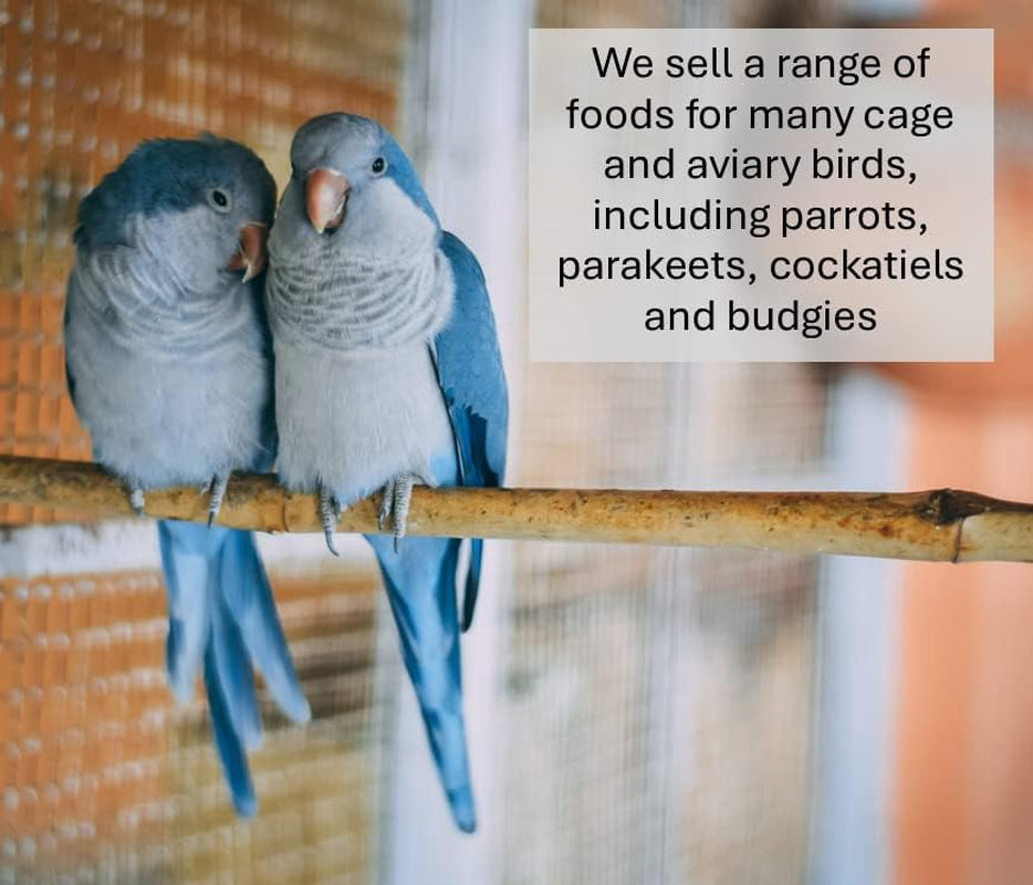 200G MIXED CANARY SEED MIXED CAGE BIRD FOOD SLJ
