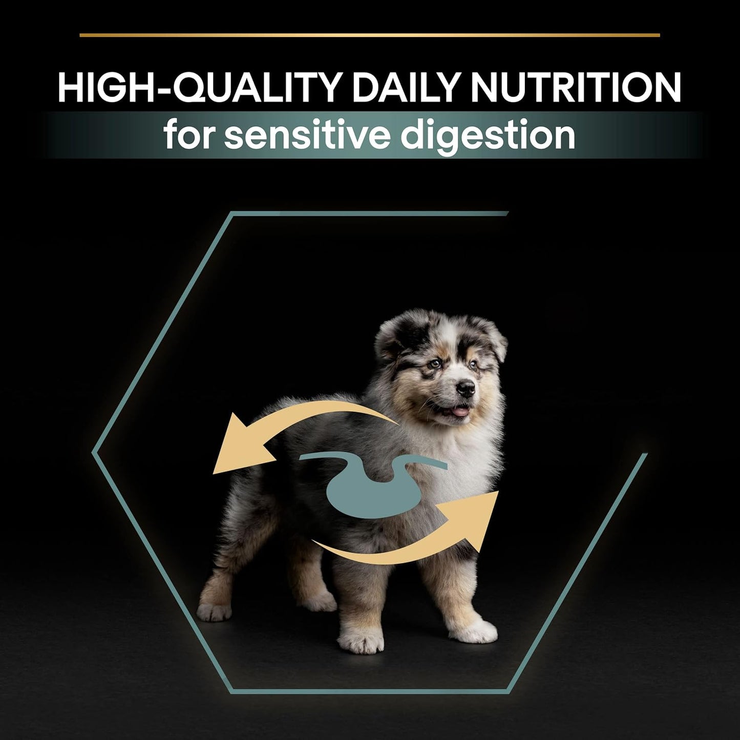 Sensitive Digestion Medium Puppy Dry Dog Food Lamb 3Kg, for Neutered Dogs