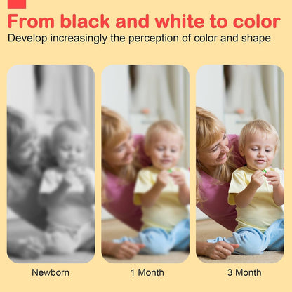 Baby Toys 0-6 Months, Black and White Sensory Toys Brain Development, Tummy Time Toys, Soft Baby Book, Baby Essentials for Newborn 0-6-12 Months Newborn Toys Baby Gifts