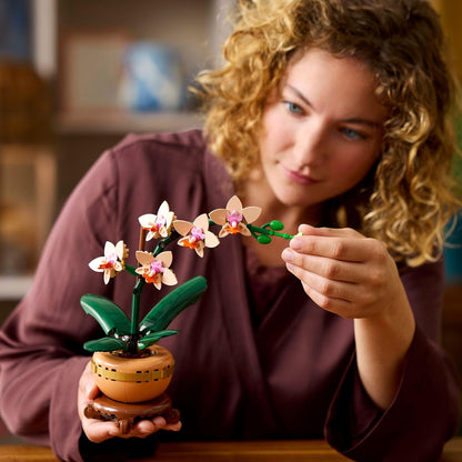 Botanicals Mini Orchid - Artificial Flowers Set for Adults - Indoor Plant with Terracotta Style Flowerpot - Home Decor - Gift for Valentine'S Day for Women and Men - 10343
