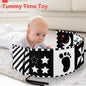 Baby Toys 0-6 Months, Black and White Sensory Toys Brain Development, Tummy Time Toys, Soft Baby Book, Baby Essentials for Newborn 0-6-12 Months Newborn Toys Baby Gifts